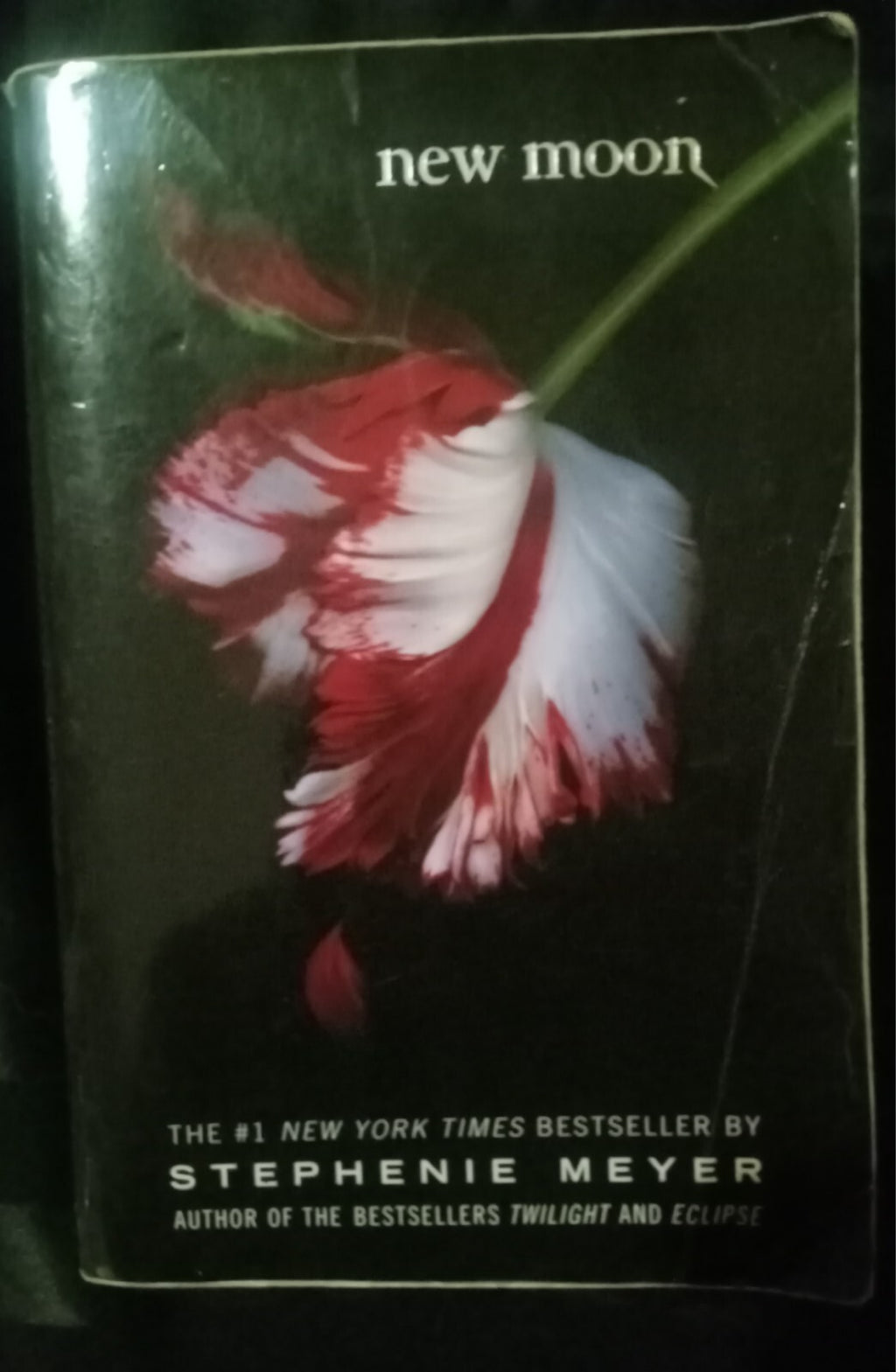 New Moon by Stephenie Meyer – 2008 Trade PB YA Romance Novel VG+