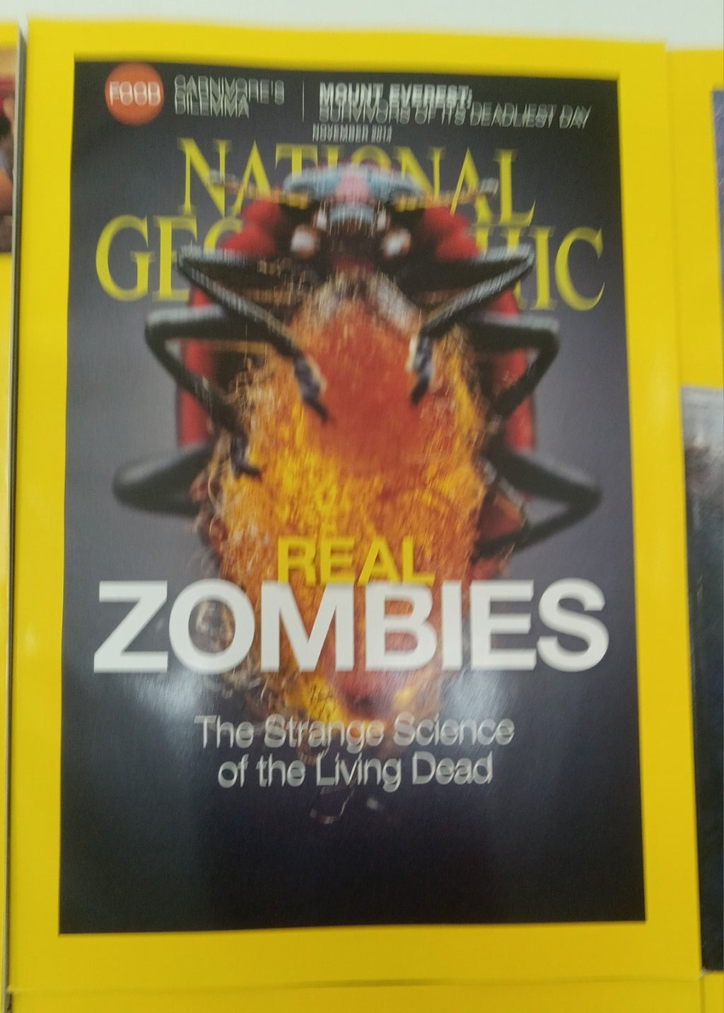 National Geographic Jul–Dec 2014 | Faux Leather Slipcase | 6 VG+ Mags