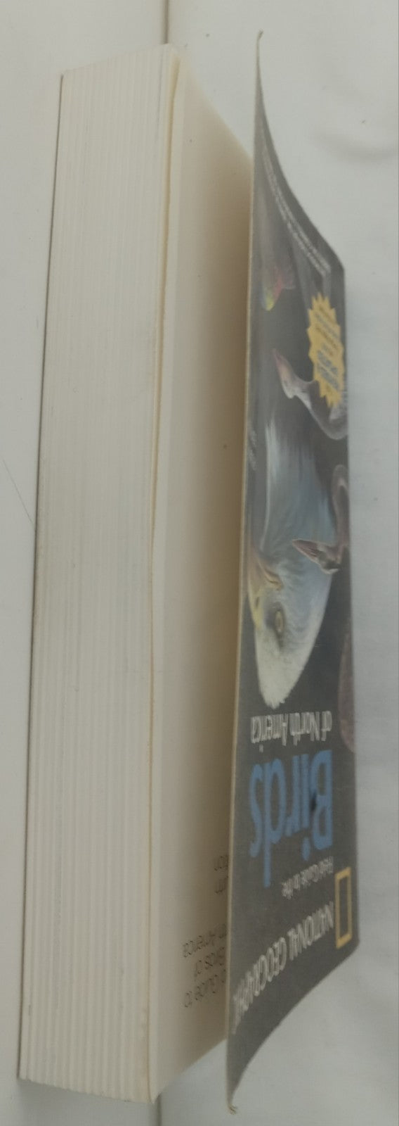 National Geographic Bird Of North America Field Guide Bird Watching Manual