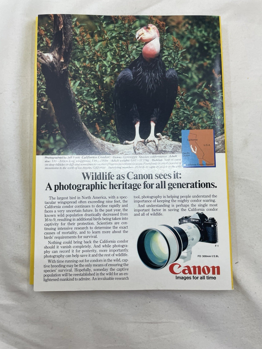 Nat Geo Mag Lot Jan–Jun 1986 Slipcvr Vtg Wildlife Travel History Photo