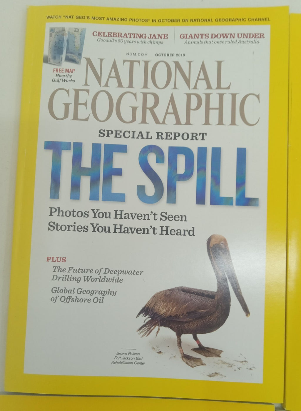 Nat Geo Magazines With Slipcover July To December 2010