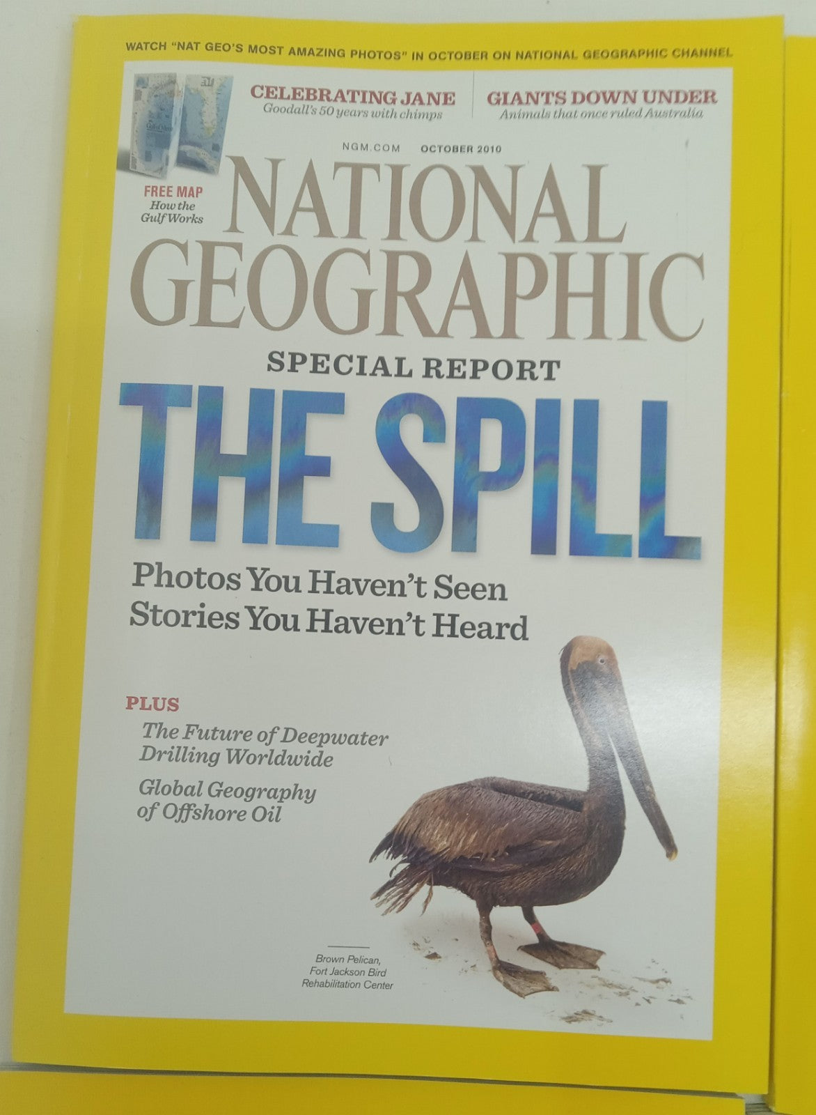 Nat Geo Magazines With Slipcover July To December 2010