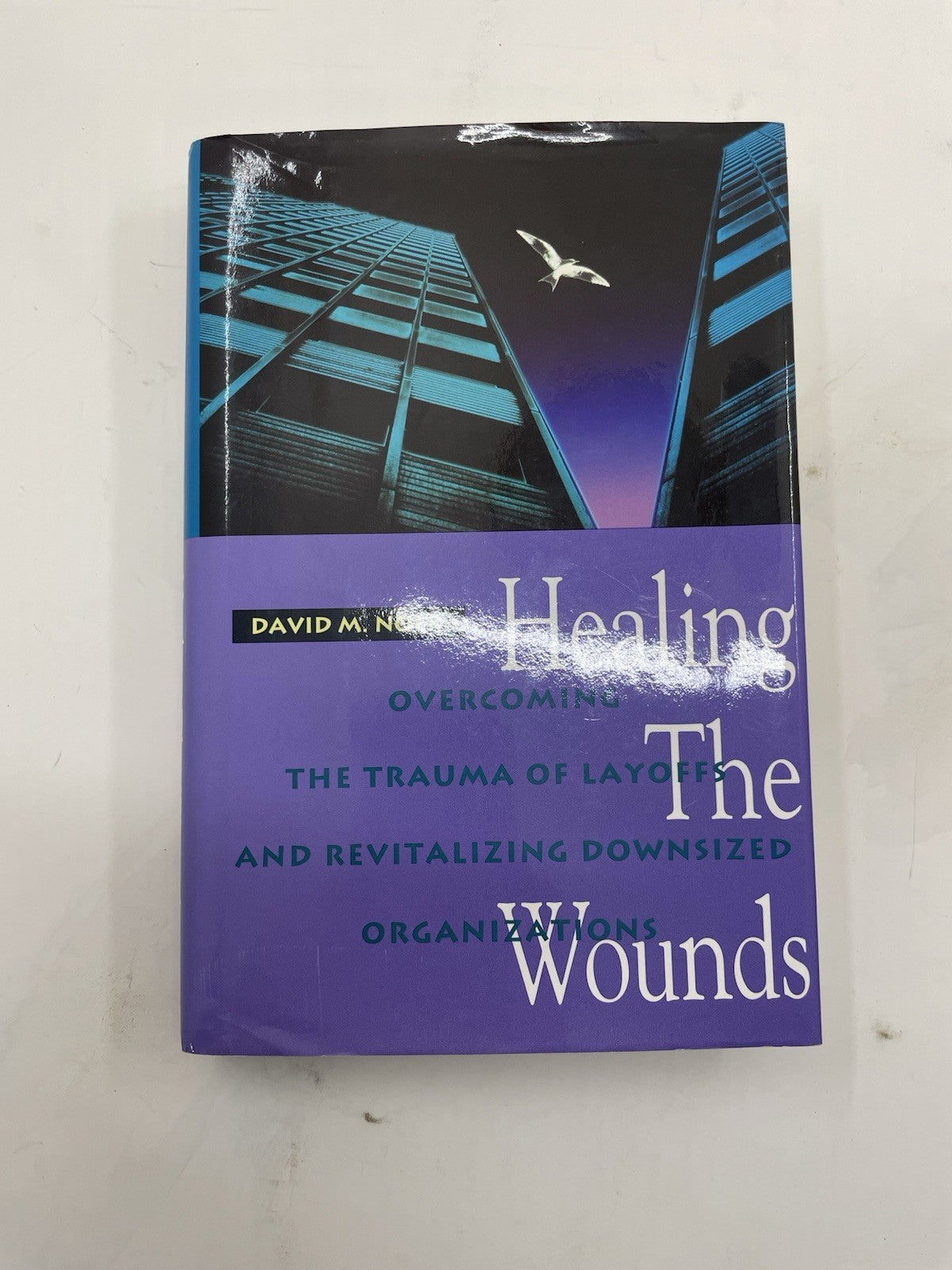 Healing the Wounds HC Layoff Trauma Career Help David Noer Biz Self-Help