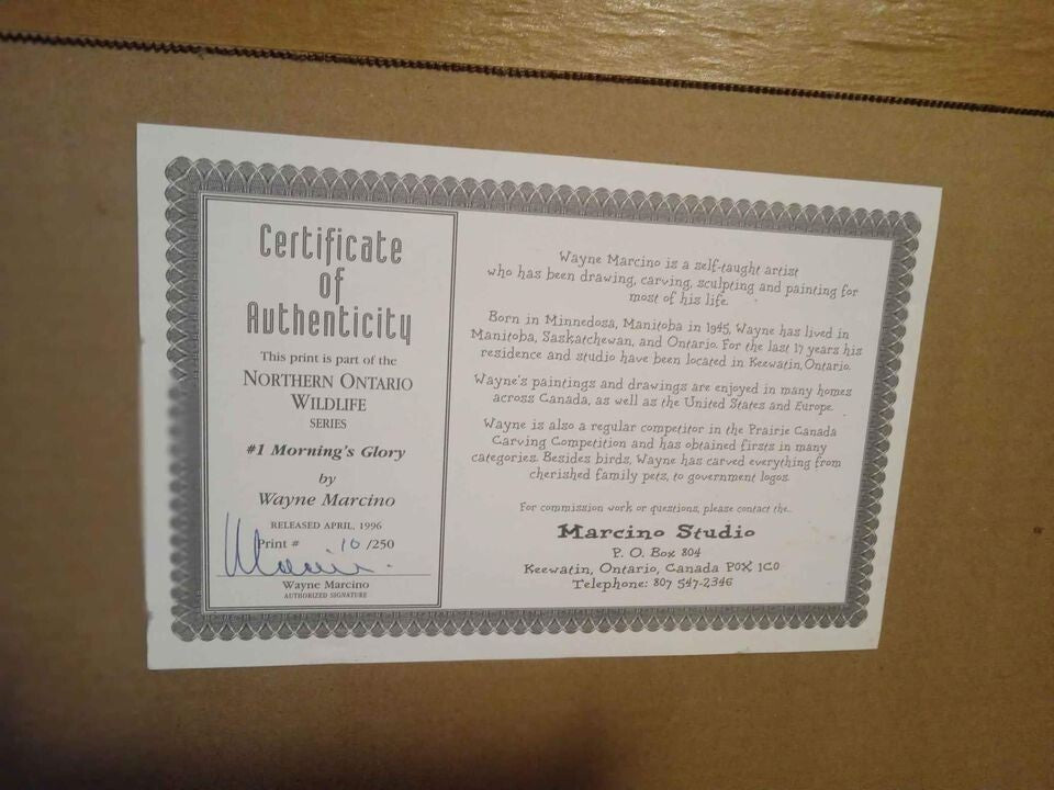 Limited Edition Framed Print – “Morning Glory” by Wayne Marcino Numbered