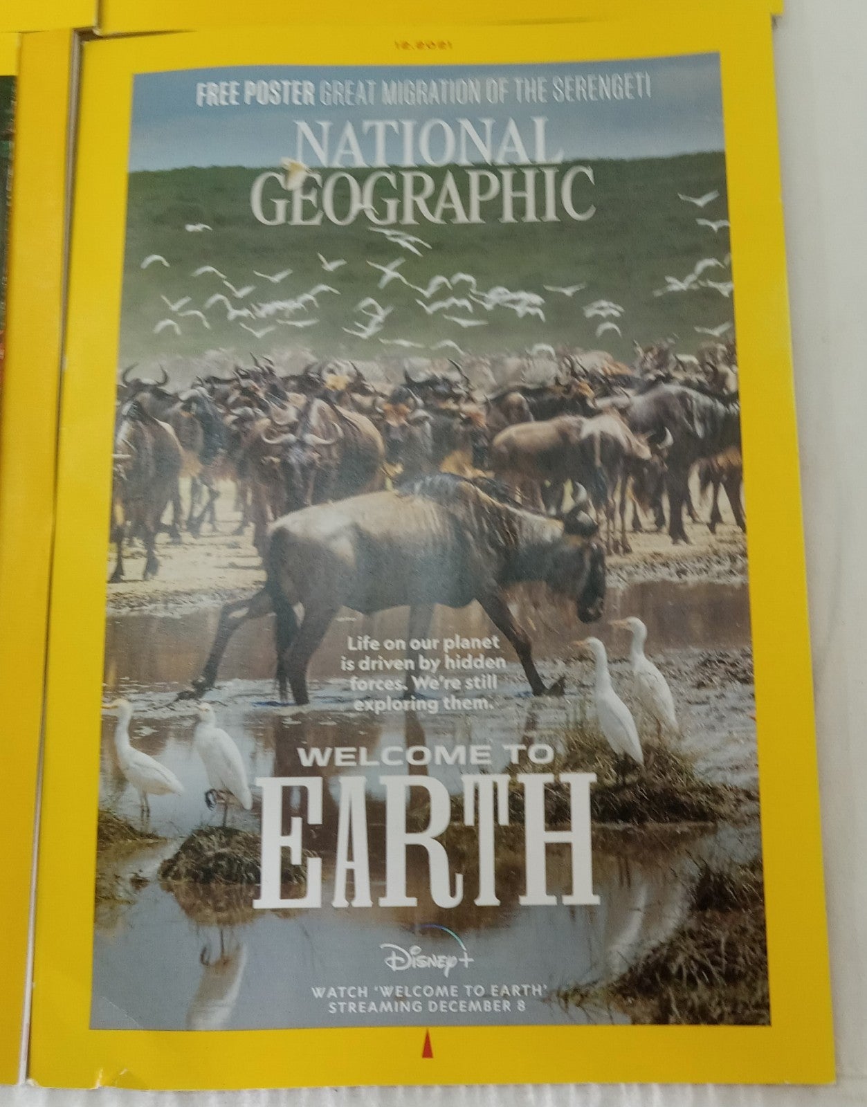 National Geographic Jul–Dec 2021 | 6 VG+ Issues | Faux Leather Slipcase