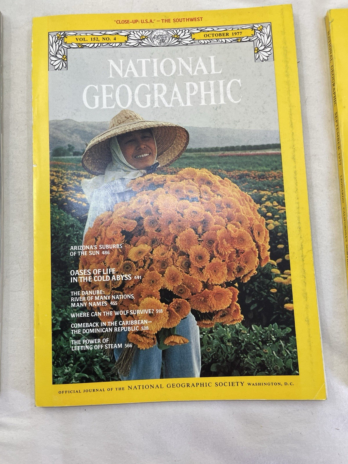 Nat Geo Jul–Dec 1977 Slipcover Set | Illustrated, Wildlife, Discovery