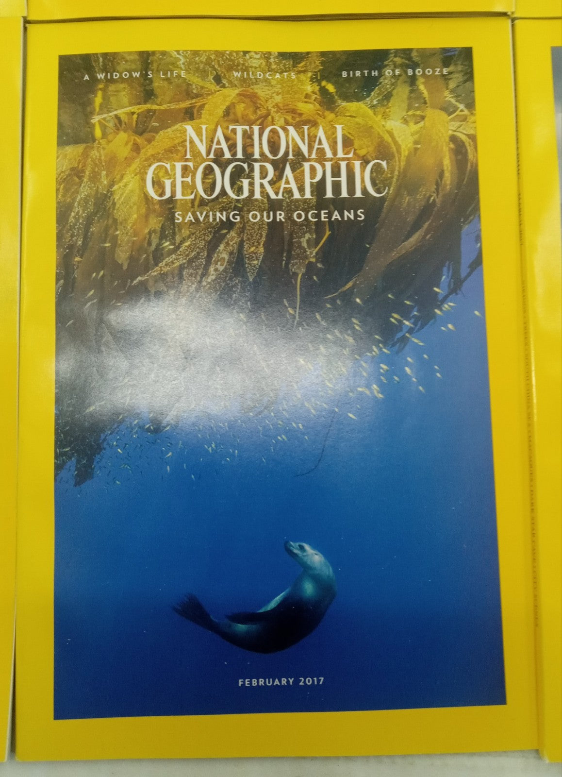 Nat Geo Magazines With Slipcover Jan To June 2017
