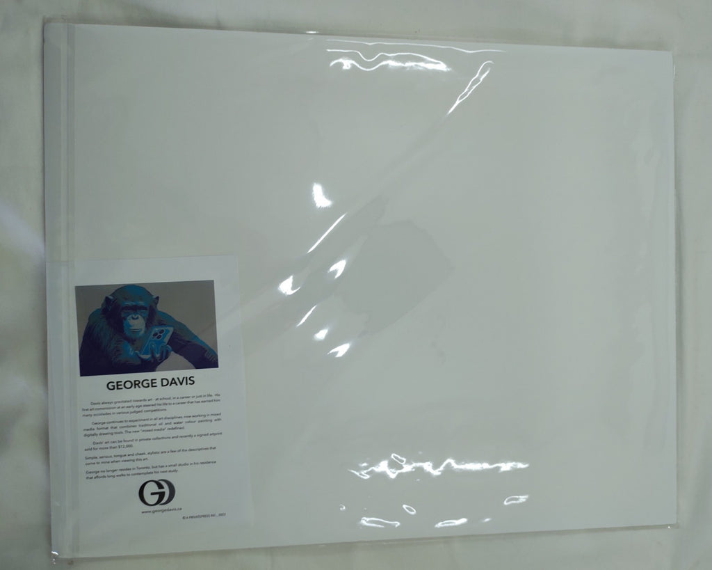 Limited Edition Justin Bieber Giclée by George Davis – Signed & Numbered