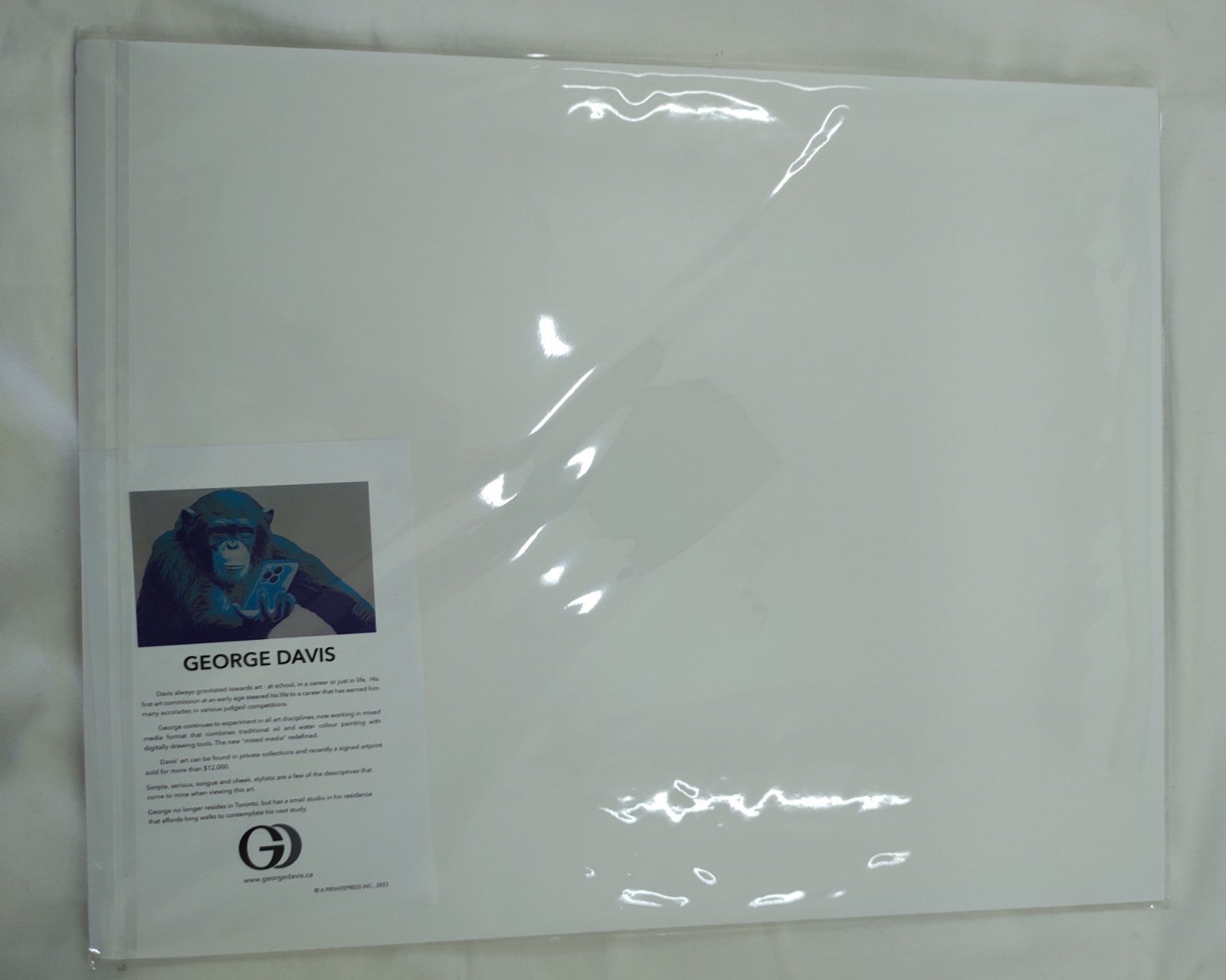 Limited Edition Justin Bieber Giclée by George Davis – Signed & Numbered