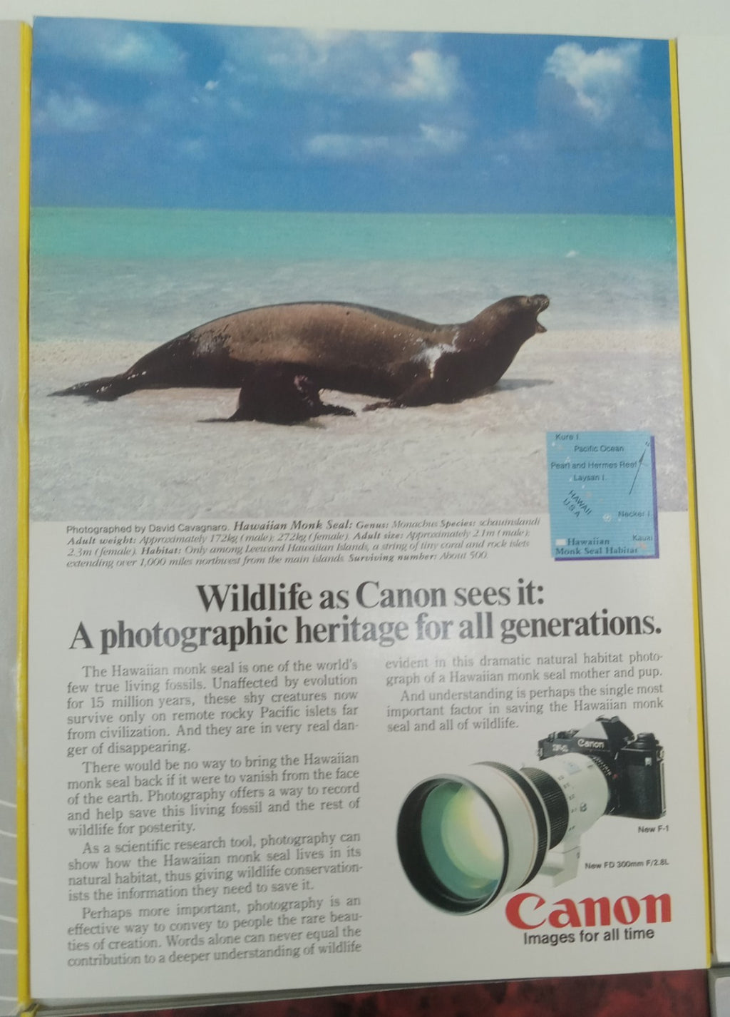 Nat Geo Jul–Dec 1982 | Vintage VG+ Set | 6 Mags in Faux Leather Slipcover