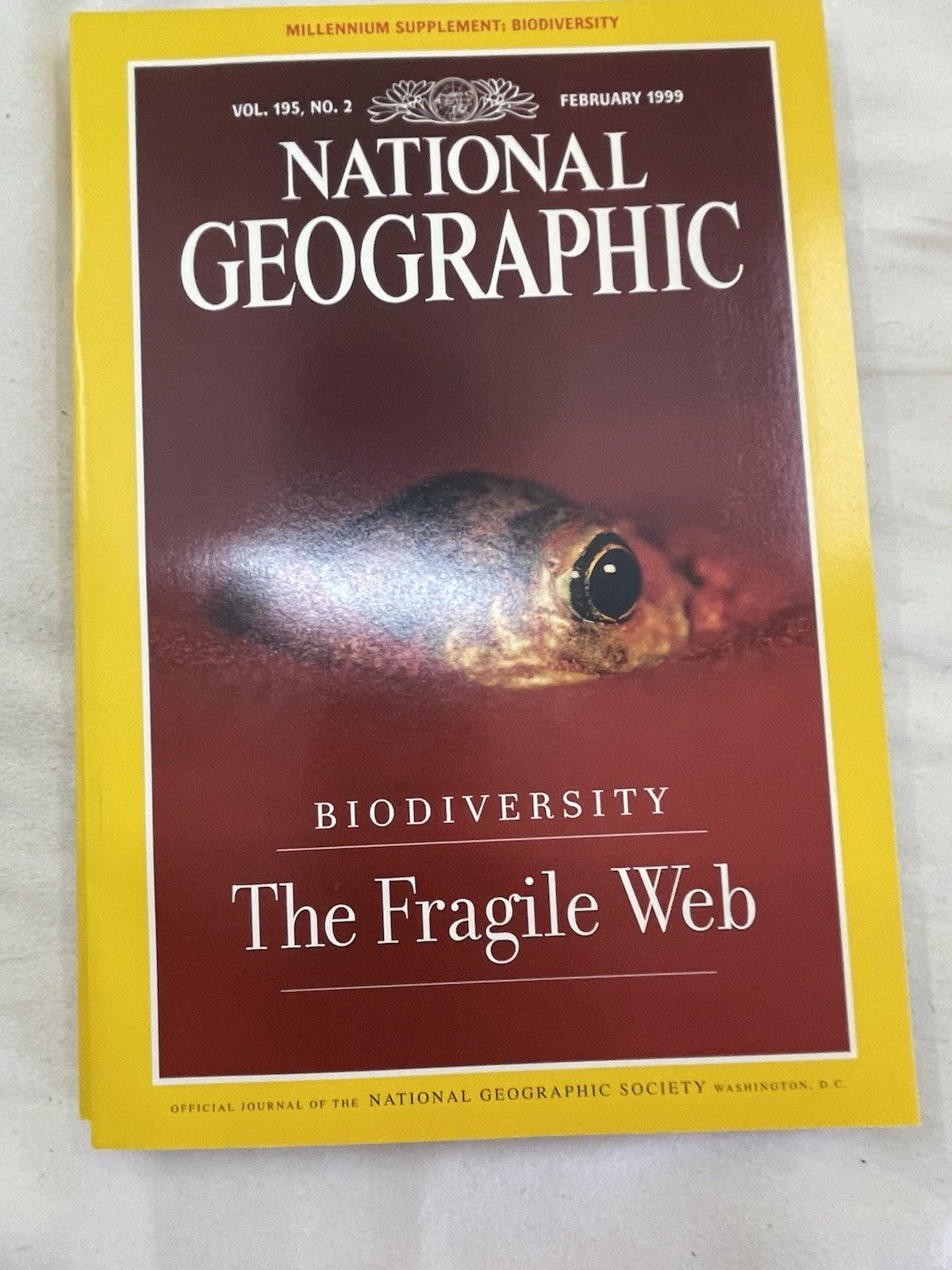 Vintage Nat Geo Jan–Jun 1999 Set w/ Slipcover | Nature, Wildlife, Earth