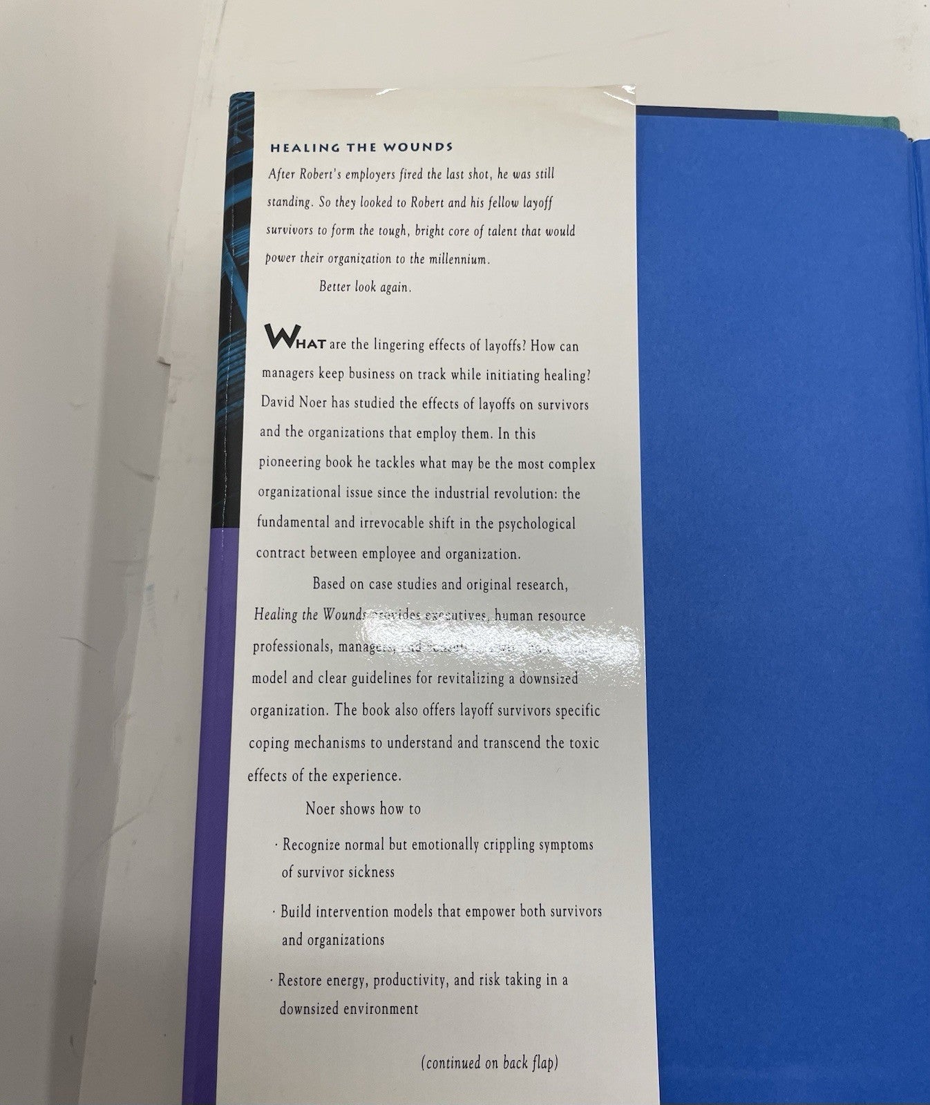 Healing the Wounds HC Layoff Trauma Career Help David Noer Biz Self-Help