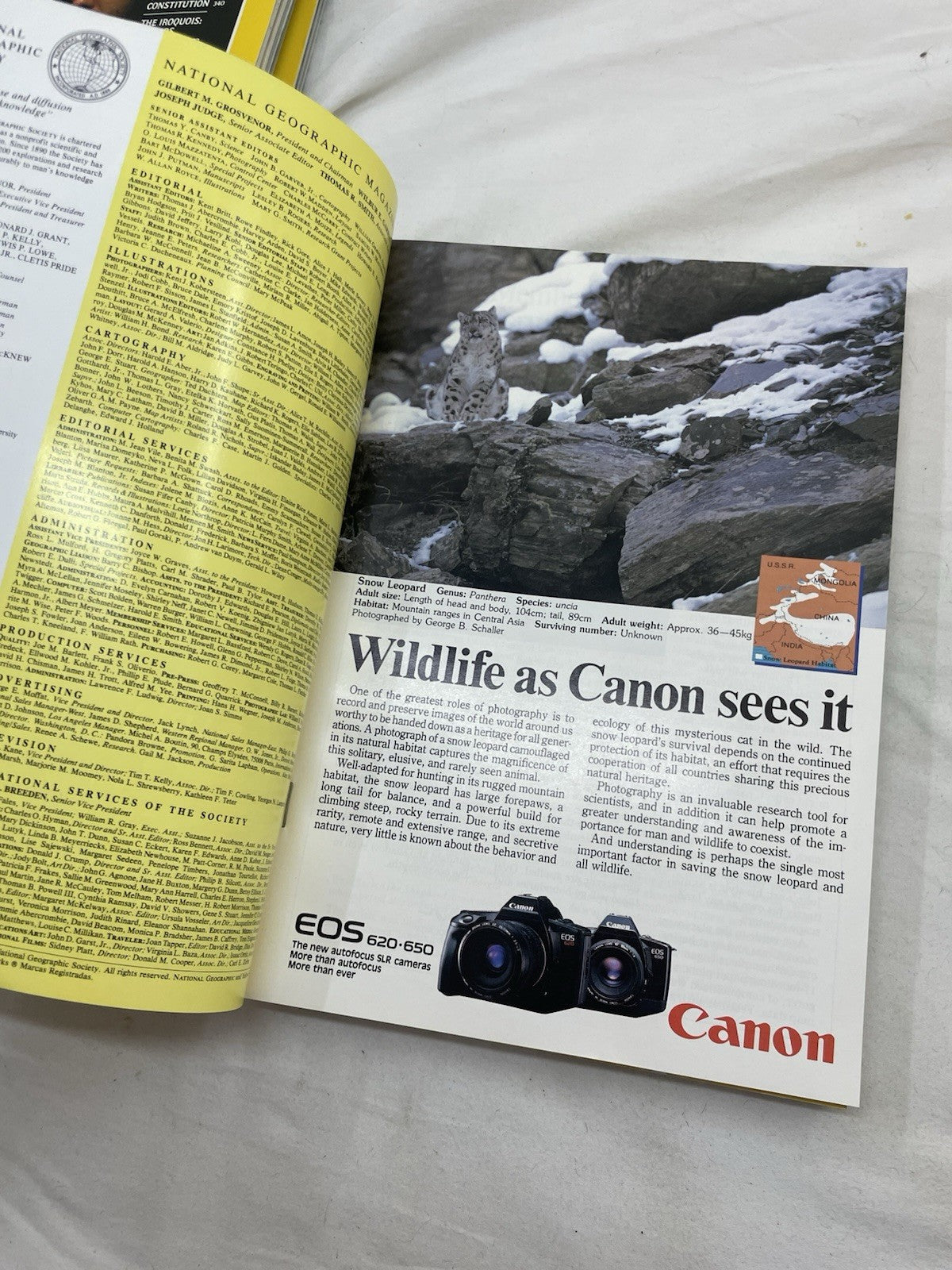 Nat Geo Mags Jul–Dec 1987 Vtg Slipcvr Set Wildlife World Decor Nature