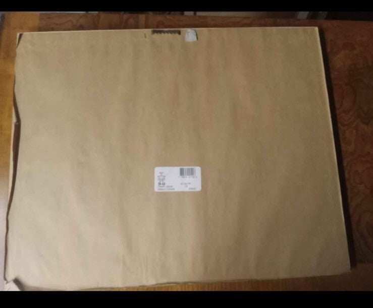 Framed Jaguar Art Print – Heavy Gold Frame with Patterned Mat Wall Decor