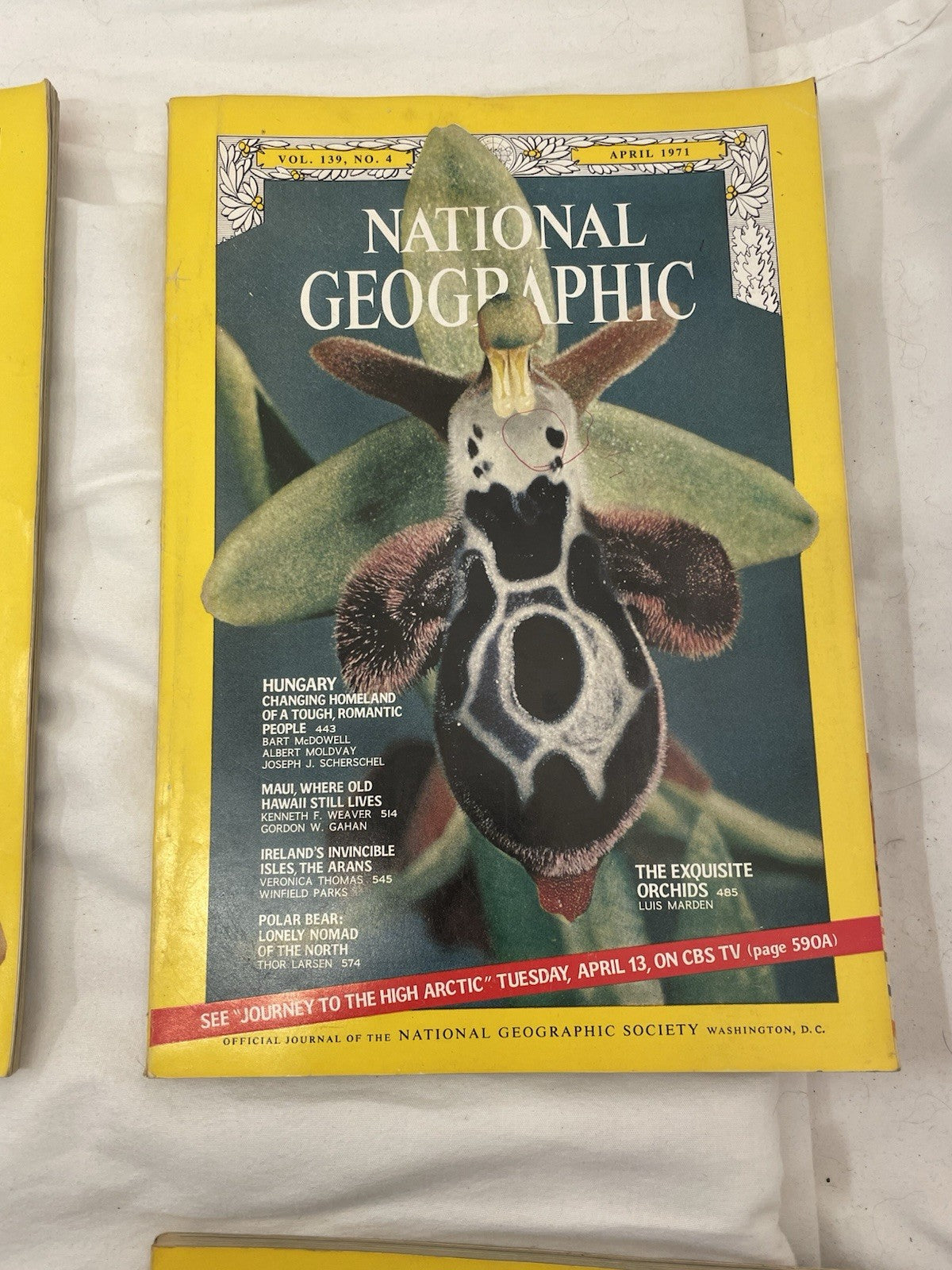 Nat Geo Mags Jan–Jun 1971 Vtg Lot Slipcvr Collect Wildlife Travel Earth