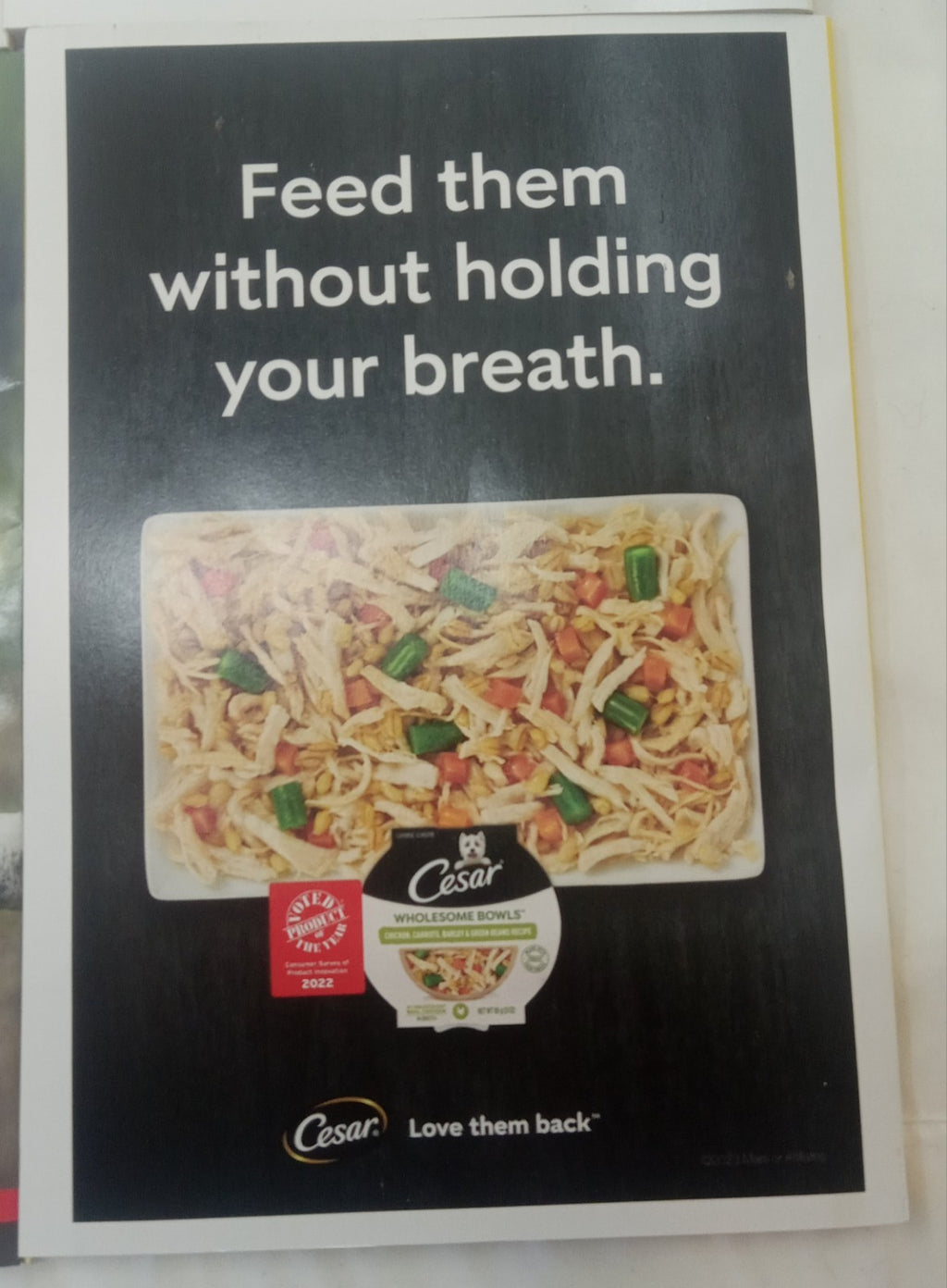 Nat Geo Magazines With Slipcover Jan To June 2023