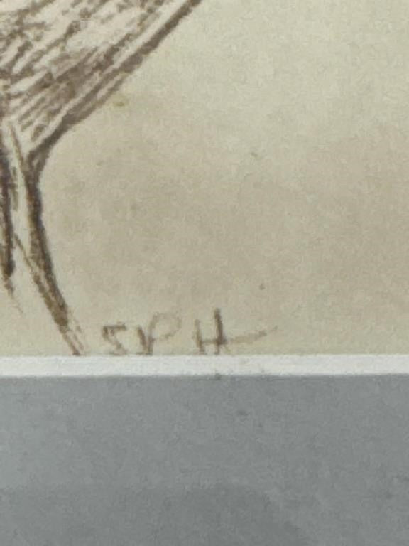 Sally B Hooff Original Ink Drawing Tree Study PEI Artist Vintage Artwork