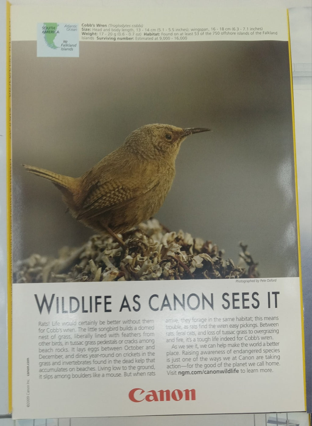 Nat Geo Magazines With Slipcover Jan To June 2009