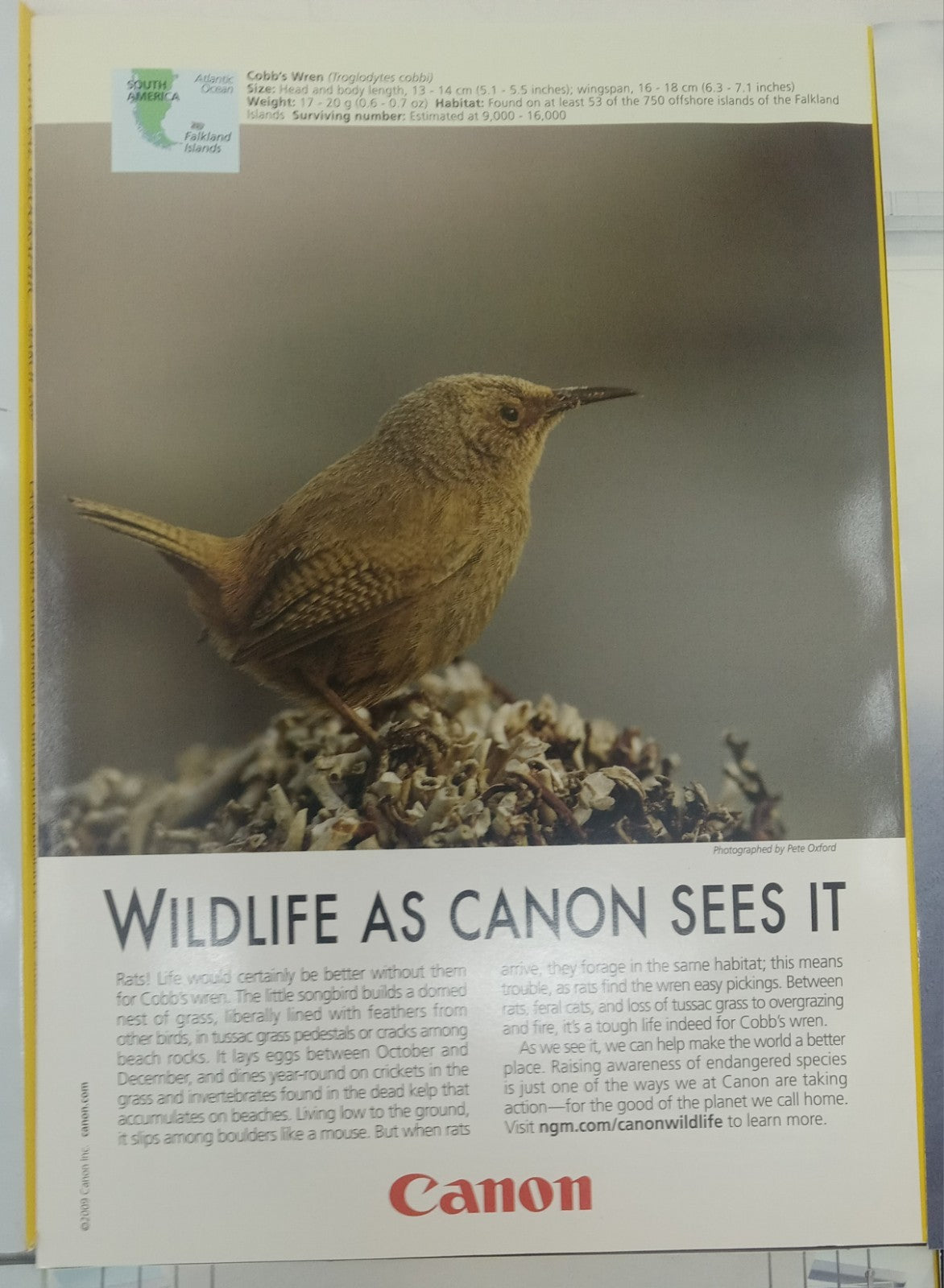 Nat Geo Magazines With Slipcover Jan To June 2009