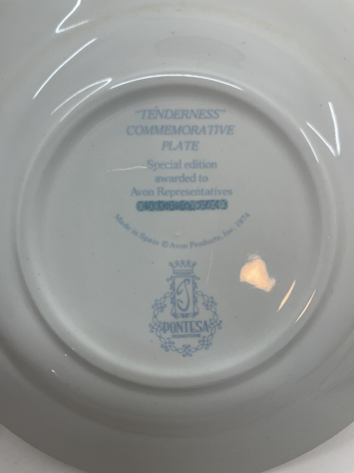1974 Avon Pontesa Tenderness Plate Ironstone Rare Collectors Vintage Floral