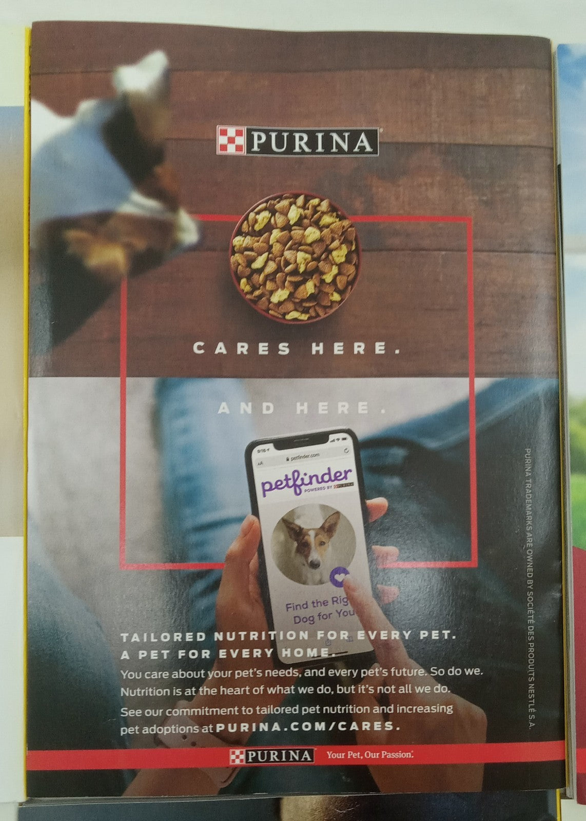 National Geographic Magazine Set Of 6 Magazines July-Dec 2020