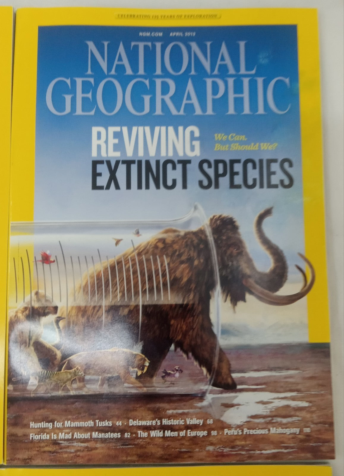 Nat Geo Jan–June 2013 Set | VG+ Magazines w/ Faux Leather Slipcover