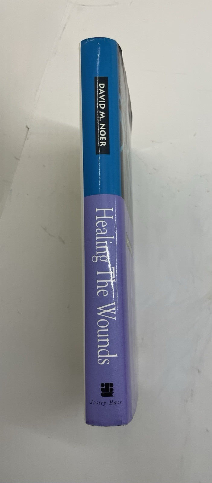 Healing the Wounds HC Layoff Trauma Career Help David Noer Biz Self-Help