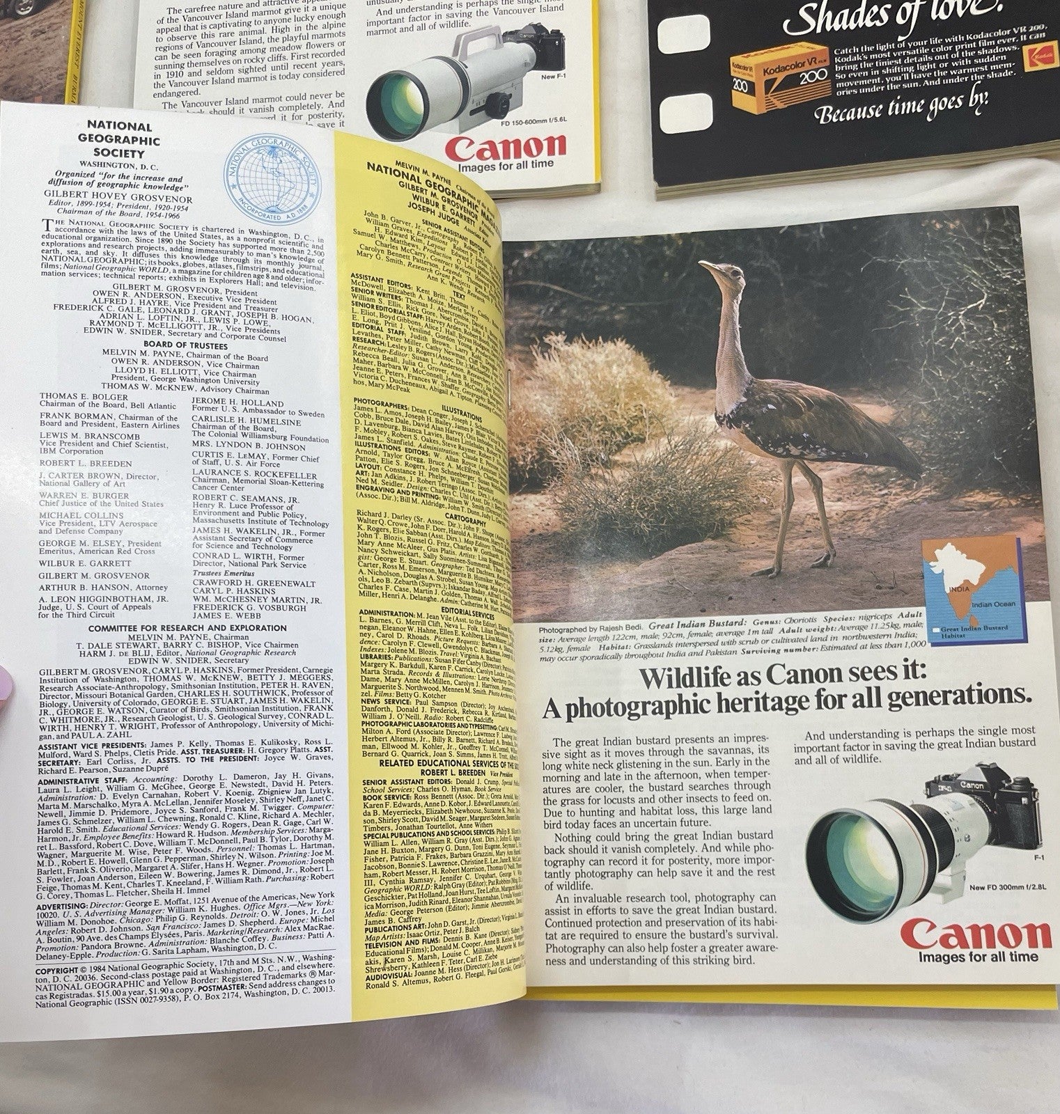 Nat Geo Lot Jul–Dec 1984 w/ Slipcover | Culture, Travel, Geography