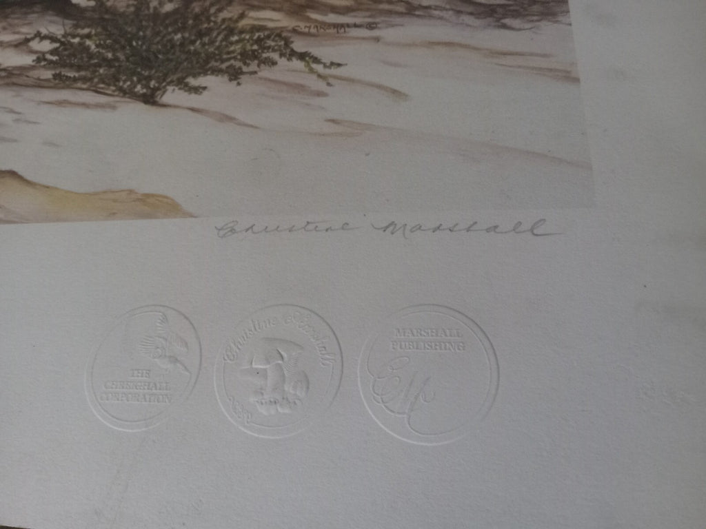 Unframed Limited Edition Cheetah Desert Landscape Print by Artist Marshall