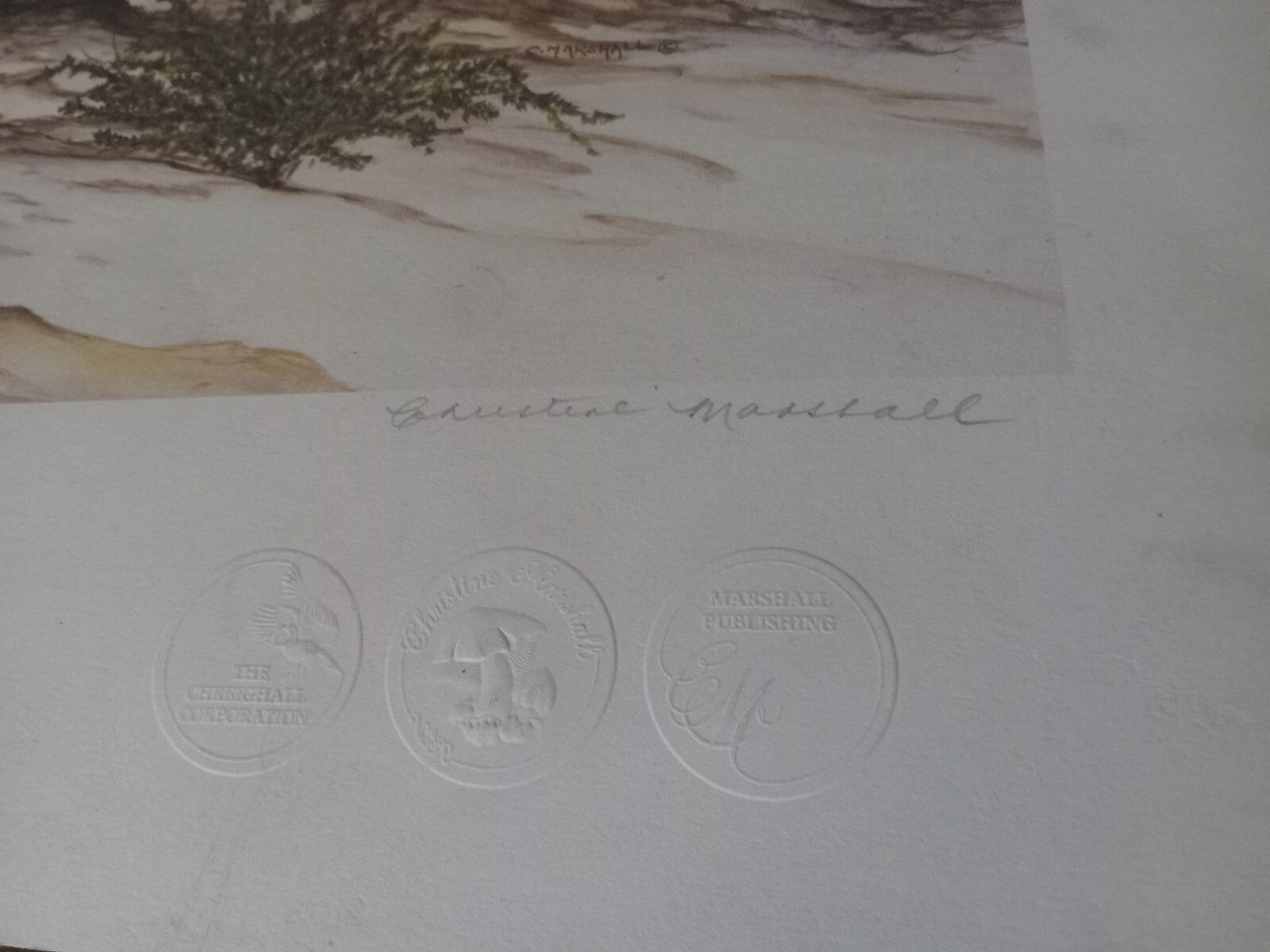 Unframed Limited Edition Cheetah Desert Landscape Print by Artist Marshall