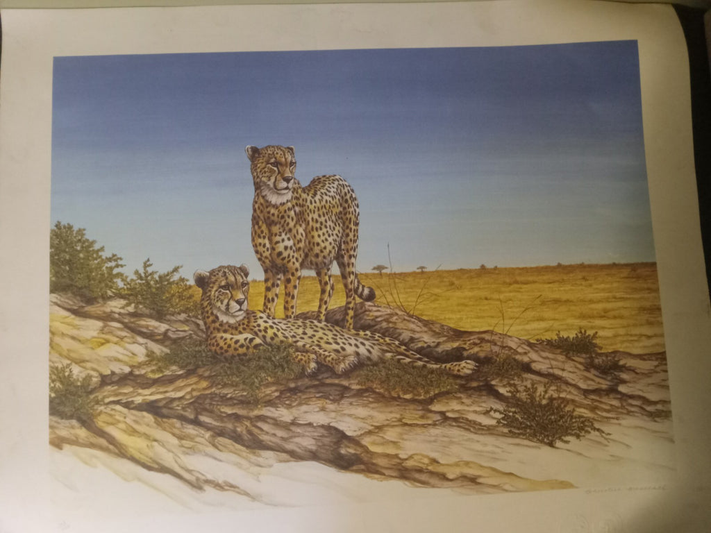 Unframed Limited Edition Cheetah Desert Landscape Print by Artist Marshall
