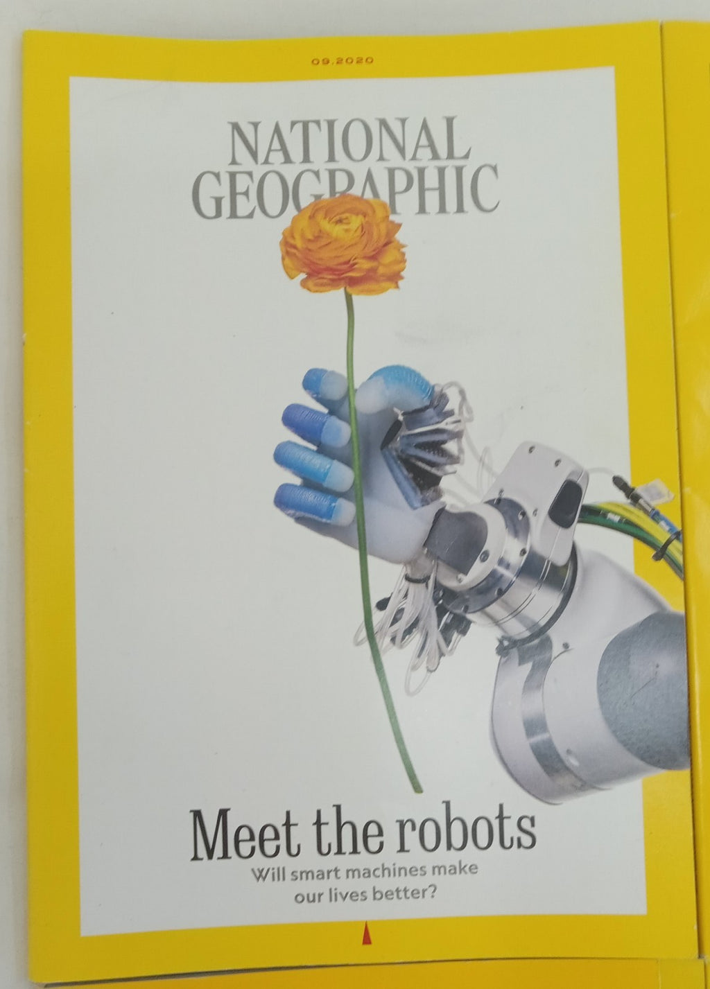 National Geographic Magazine Set Of 6 Magazines July-Dec 2020