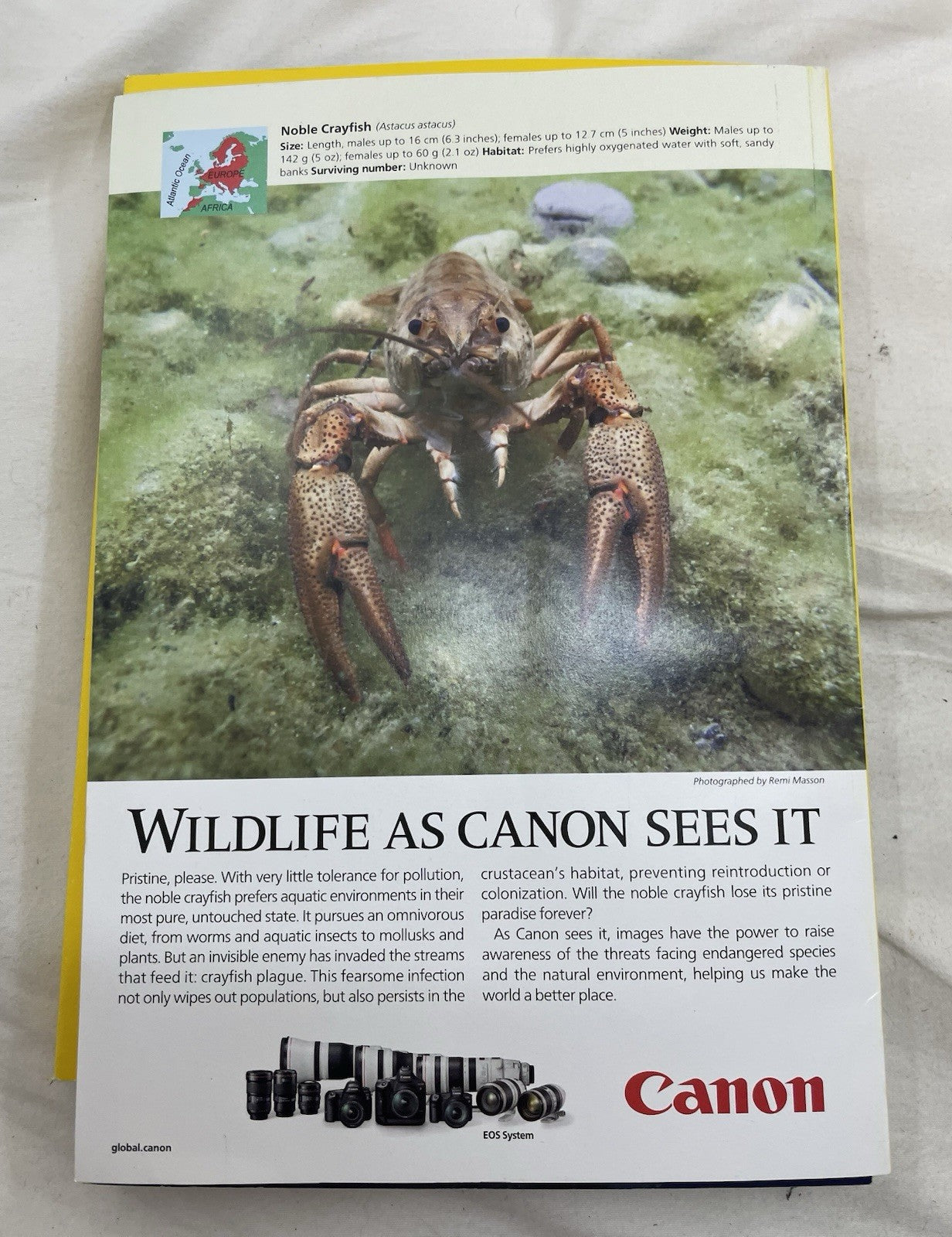 Nat Geo Lot Jul–Dec 2019 w/ Slipcover | World, Science, Photography