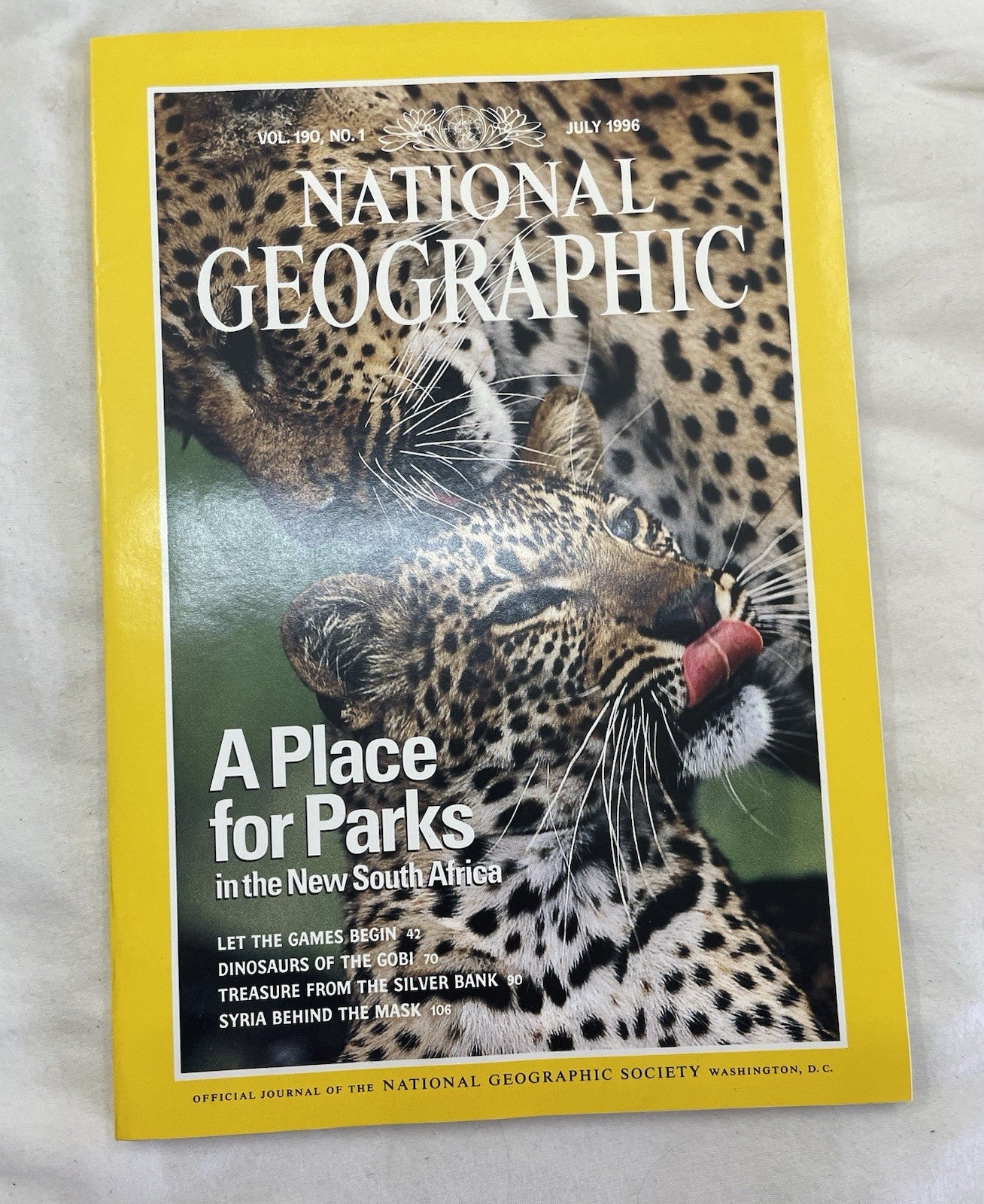 Vintage Nat Geo Lot Jul–Dec 1996 Slipcover Set | Wildlife, Illustrated