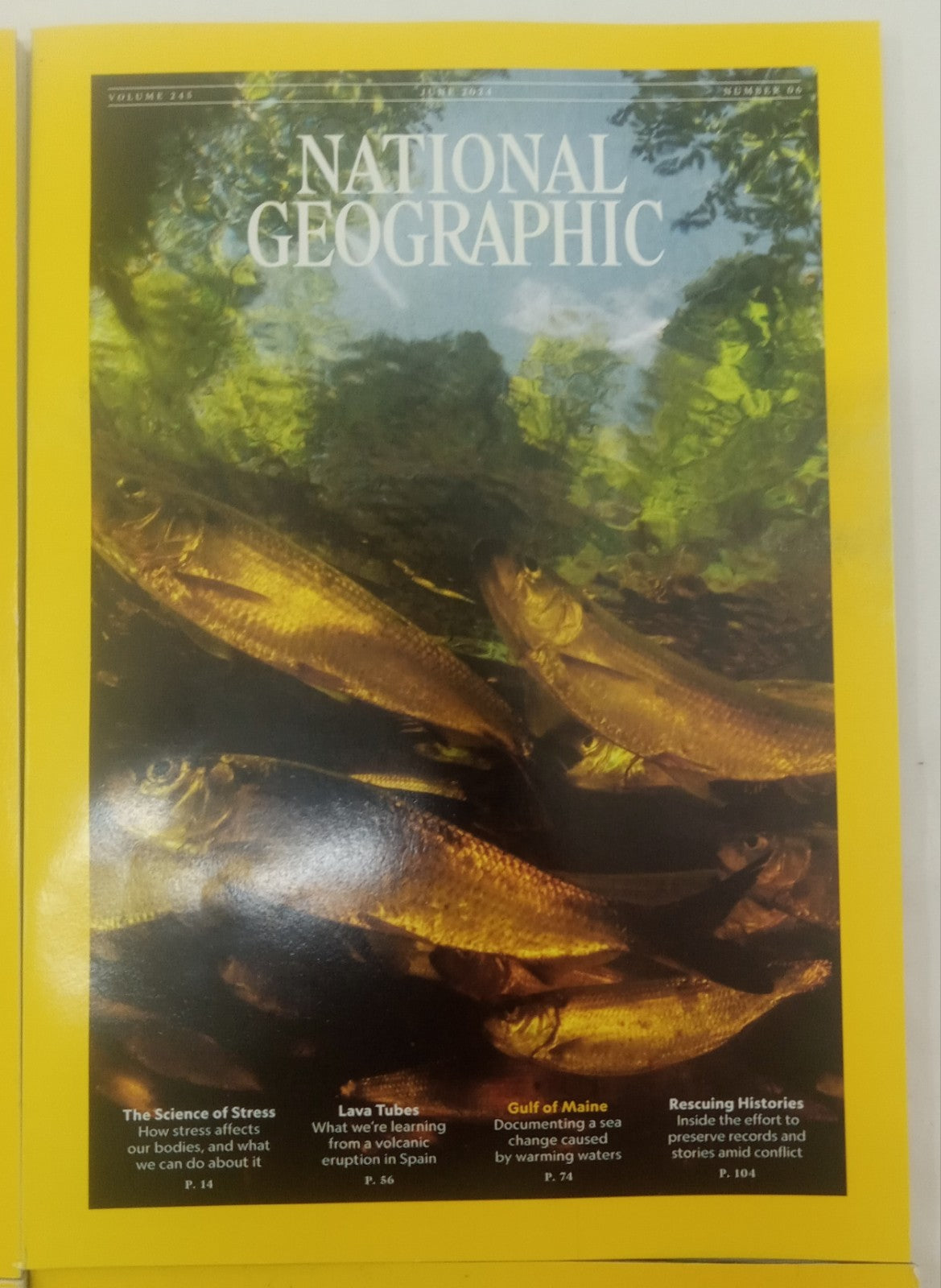 Nat Geo Magazine’s With Slipcover Jan To June 2024