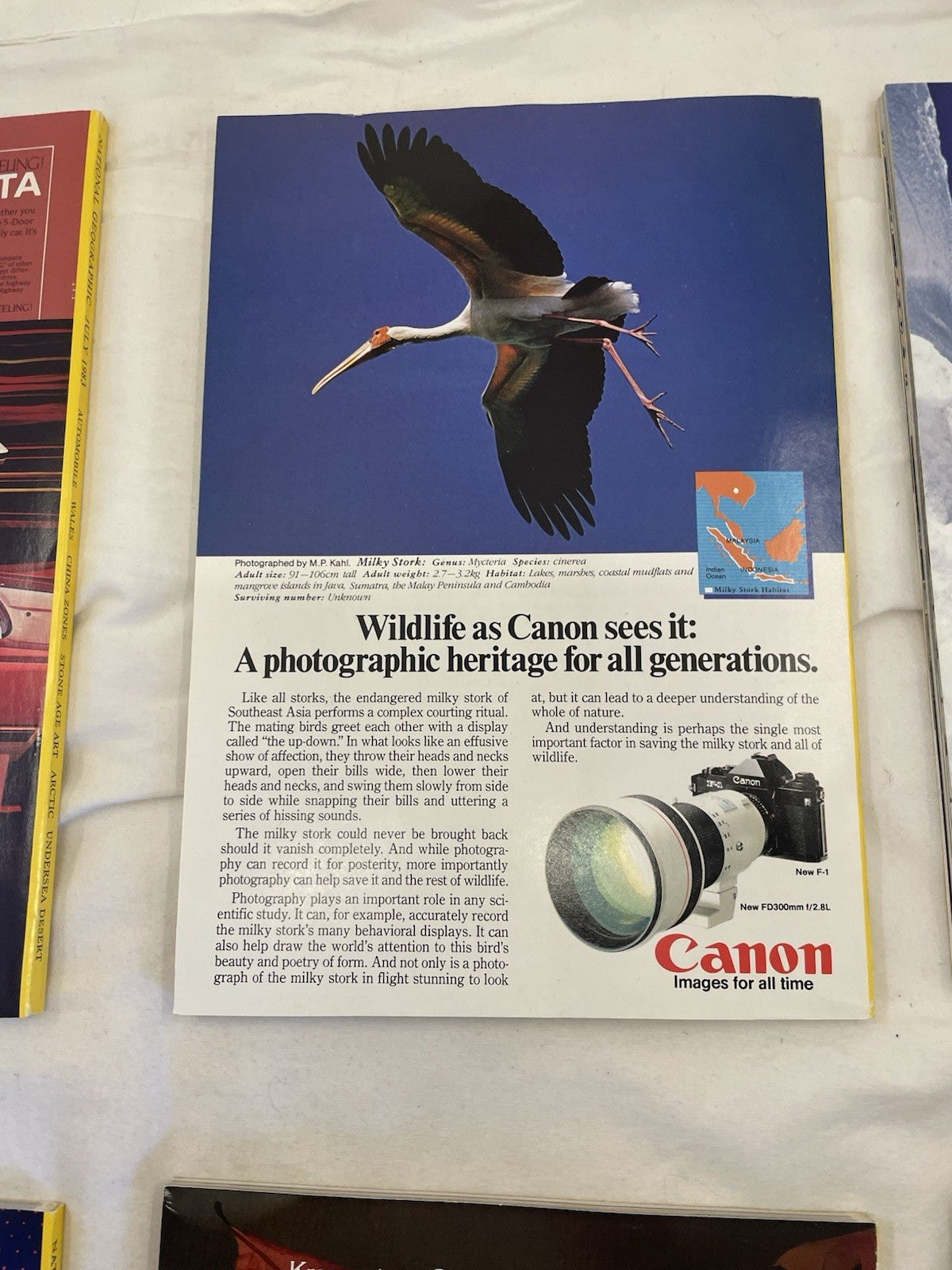 Nat Geo Mags Jul–Dec 1983 Vtg Slipcvr Wildlife Set Decor Atlas Nature