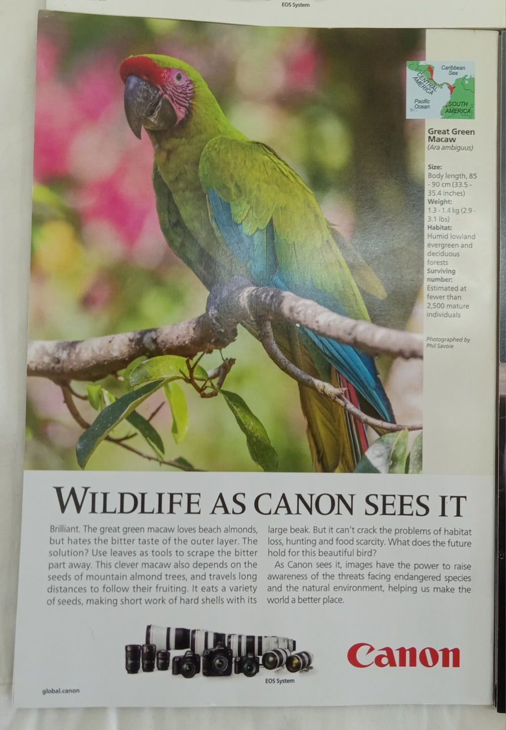 National Geographic Magazine Set Of 6 Magazines July-Dec 2020