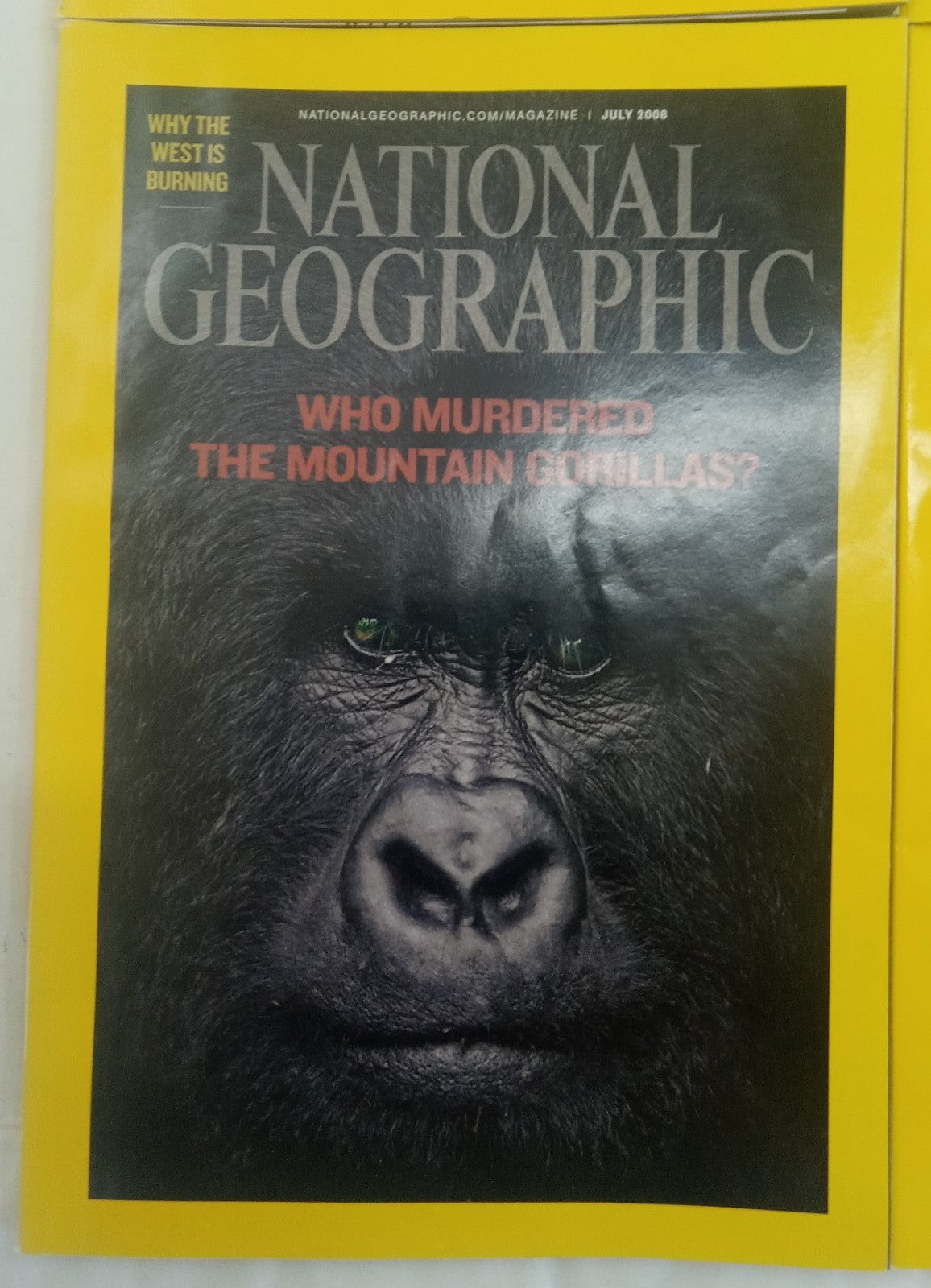 Nat Geo Magazines With Slipcover July To December 2008