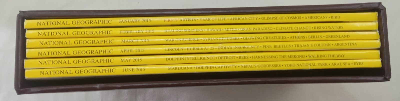 Nat Geo Jan–June 2015 VG+ | Faux Leatherette Case | 6 Issue Magazine Set