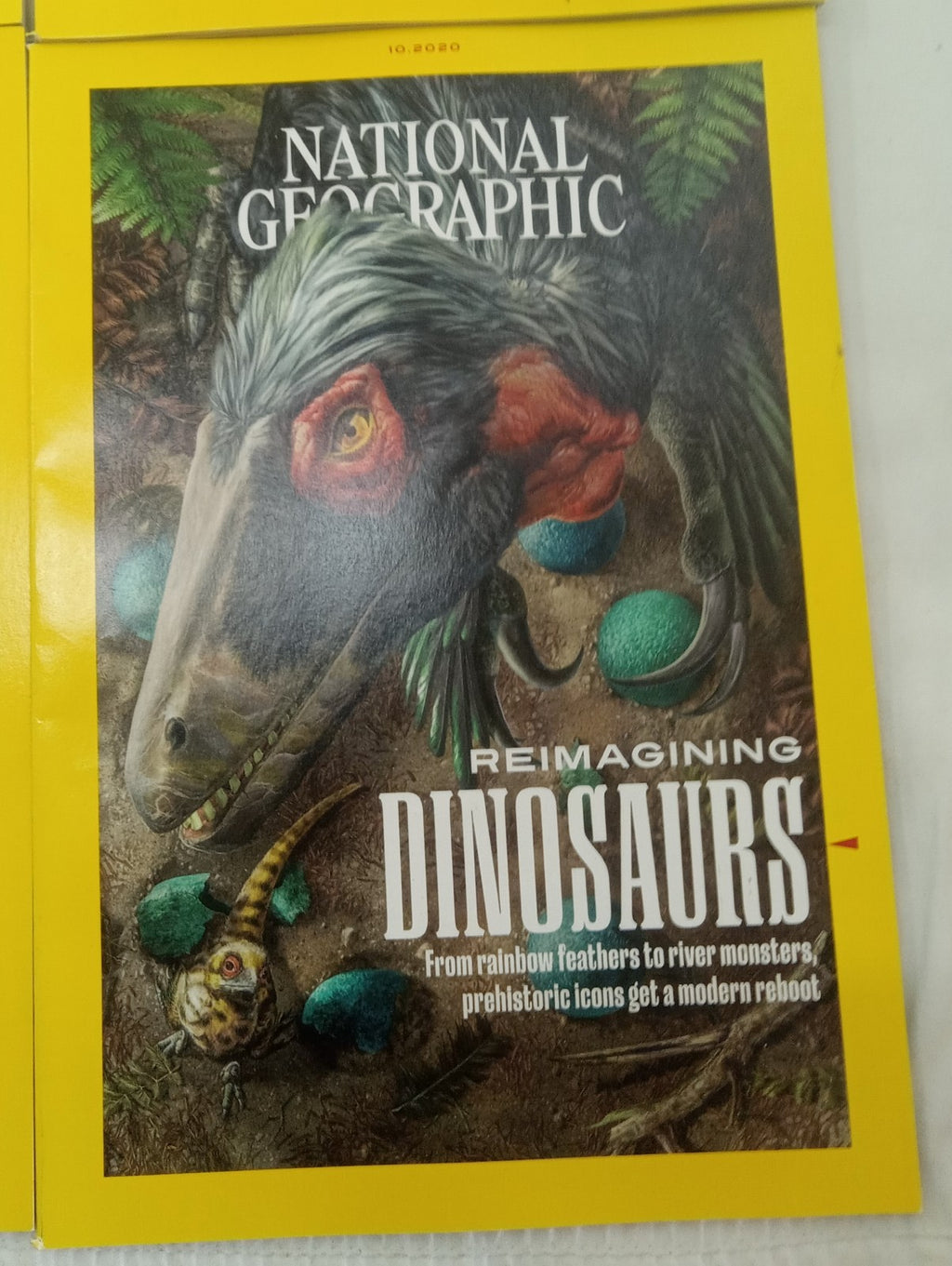 National Geographic Magazine Set Of 6 Magazines July-Dec 2020