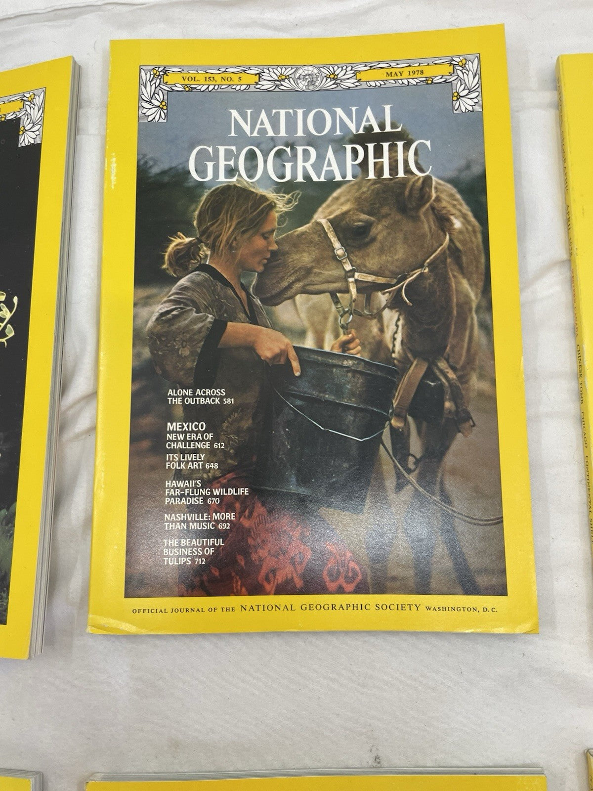 Nat Geo Jan–Jun 1978 Slipcover Lot | Wildlife, Adventure, Exploration