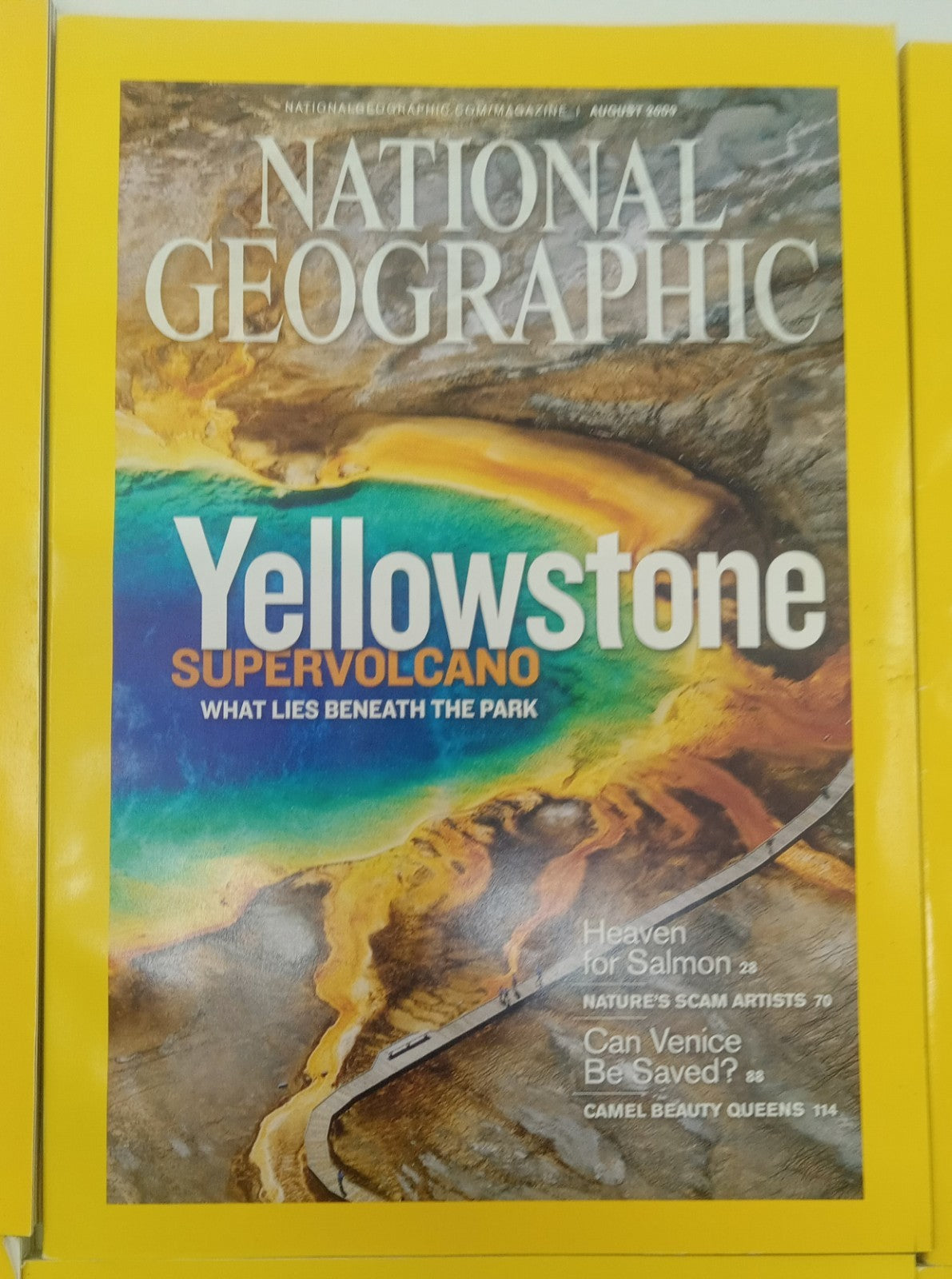 Nat Geo Magazines With Slipcover July To December 2009