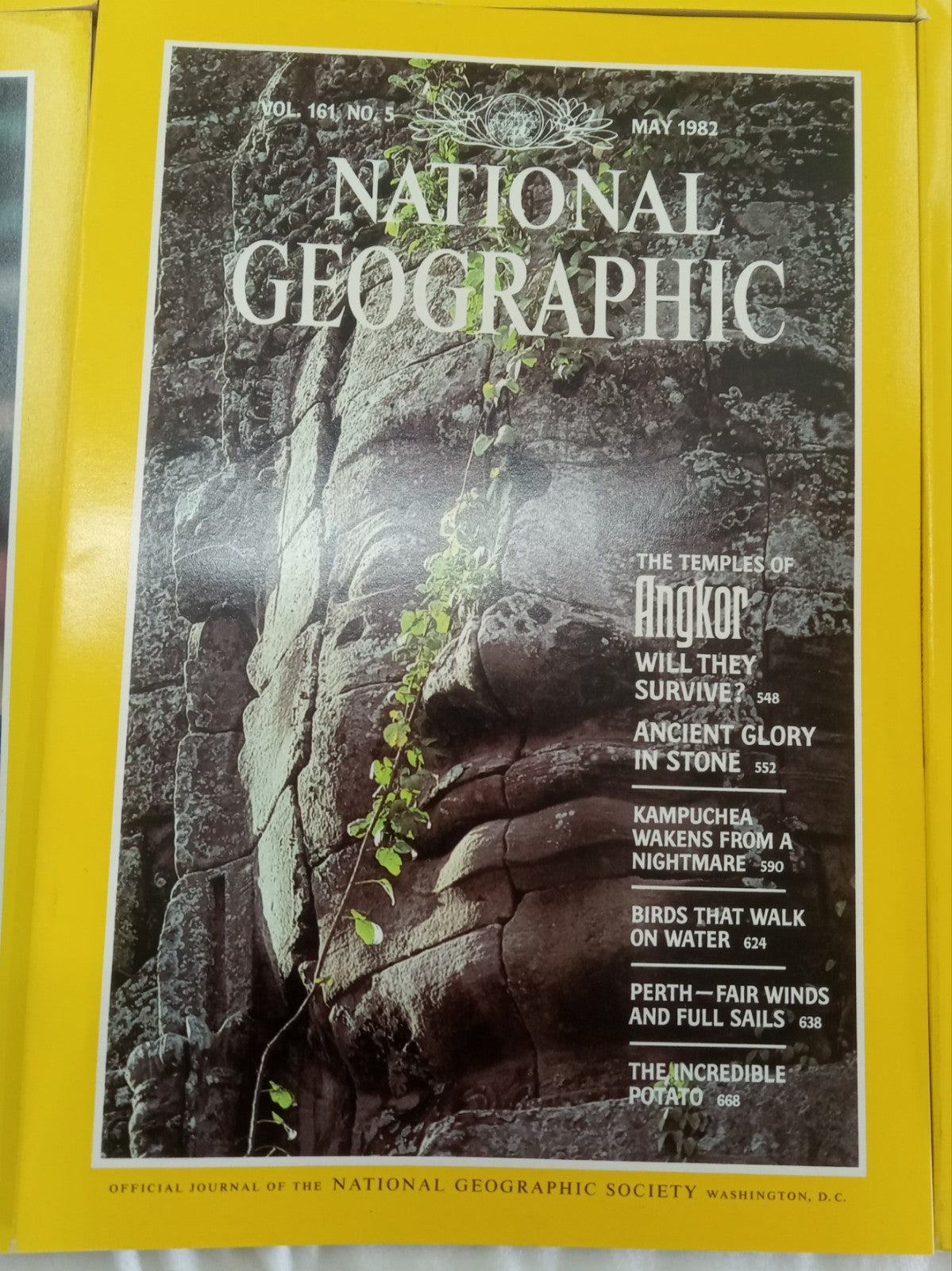 National Geographic Jan–June 1982 | VG+ Vintage Set | 6 Issues + Slipcase