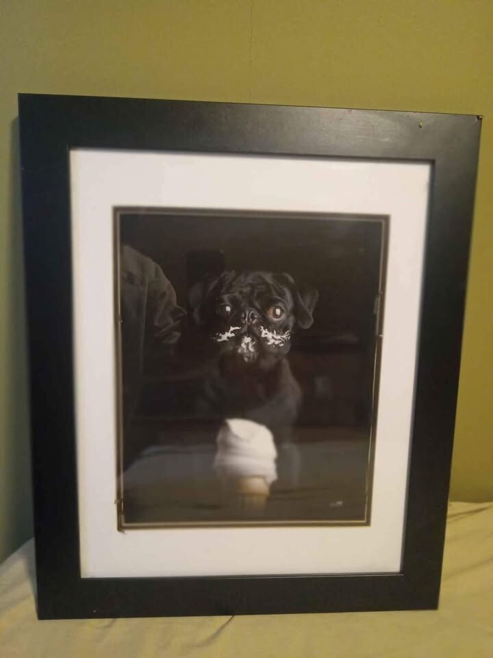 Framed Black Pug with Ice Cream Art Print – 23.5" x 19.5"