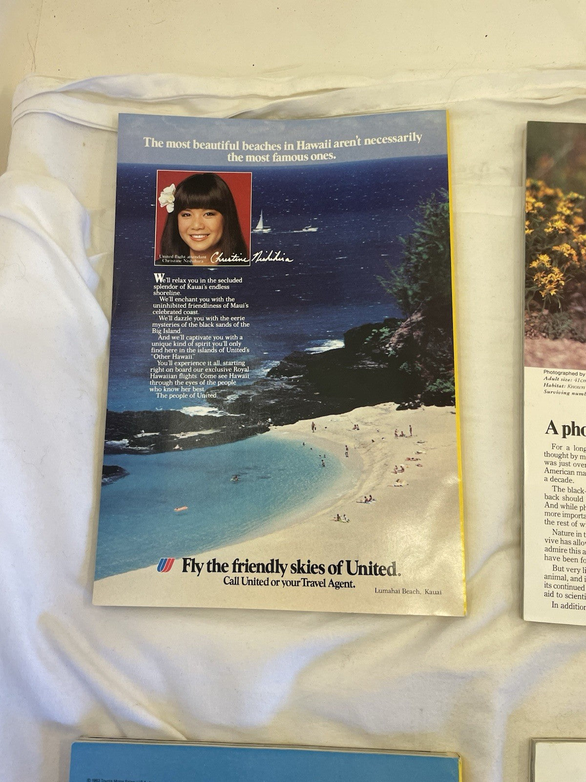 National Geographic Magazines Jan-June 1983 Slipcover - Vintage Collectible Set