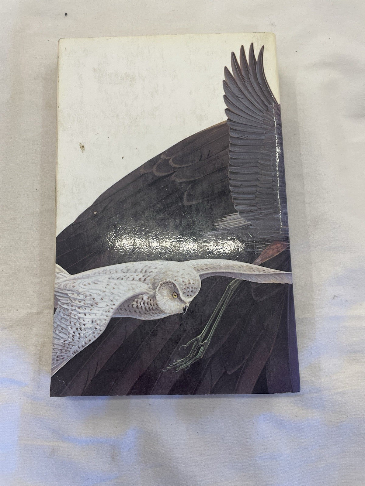 Nat Geo Birds of North America Field Guide Vintage HC Illustrated Wildlife Book