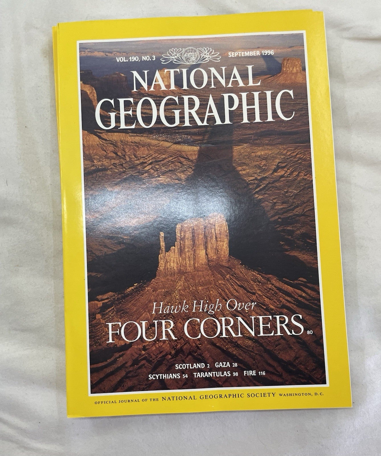 Vintage Nat Geo Lot Jul–Dec 1996 Slipcover Set | Wildlife, Illustrated