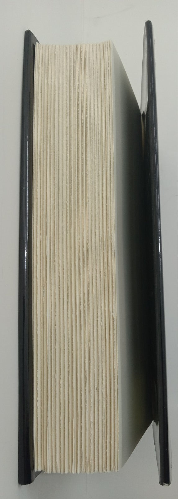 A Son of the Circus by John Irving – VG+ Literary Fiction Hardcover Book DJ