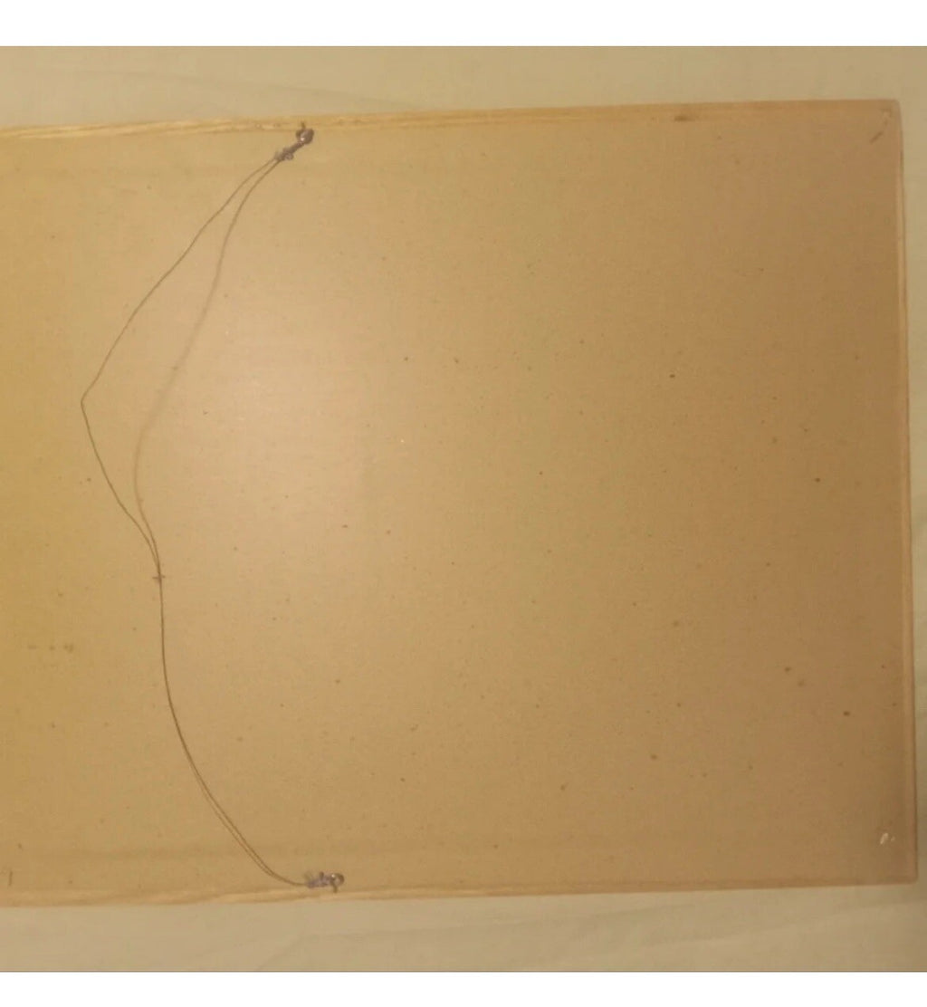 Wood Framed Signed Swan Woodland Scene Print – Rustic Nature Wall Art