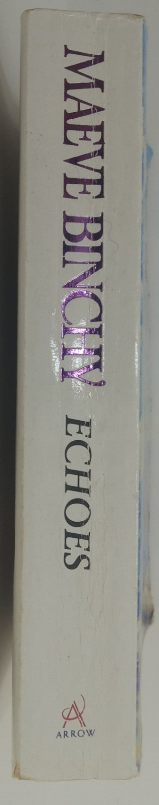 Echoes by Maeve Binchy Irish Family Drama Fiction Romance Paperback